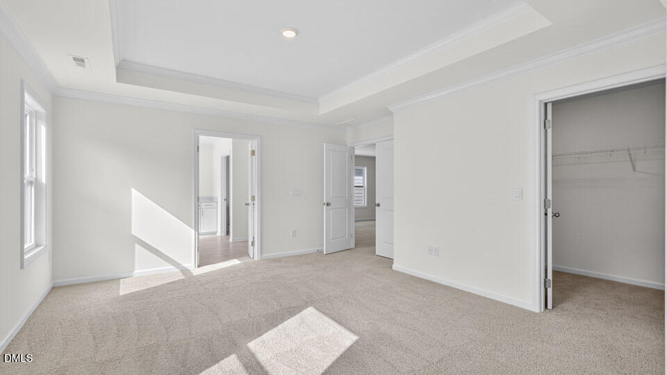 49 West Fire Opal Court Property Photo 18