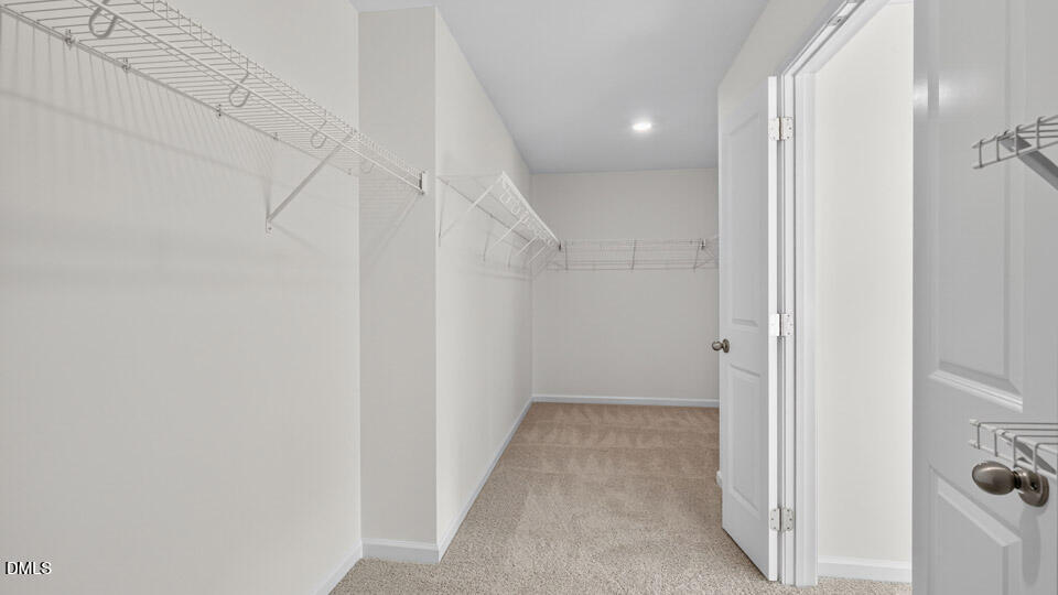 49 West Fire Opal Court Property Photo 21