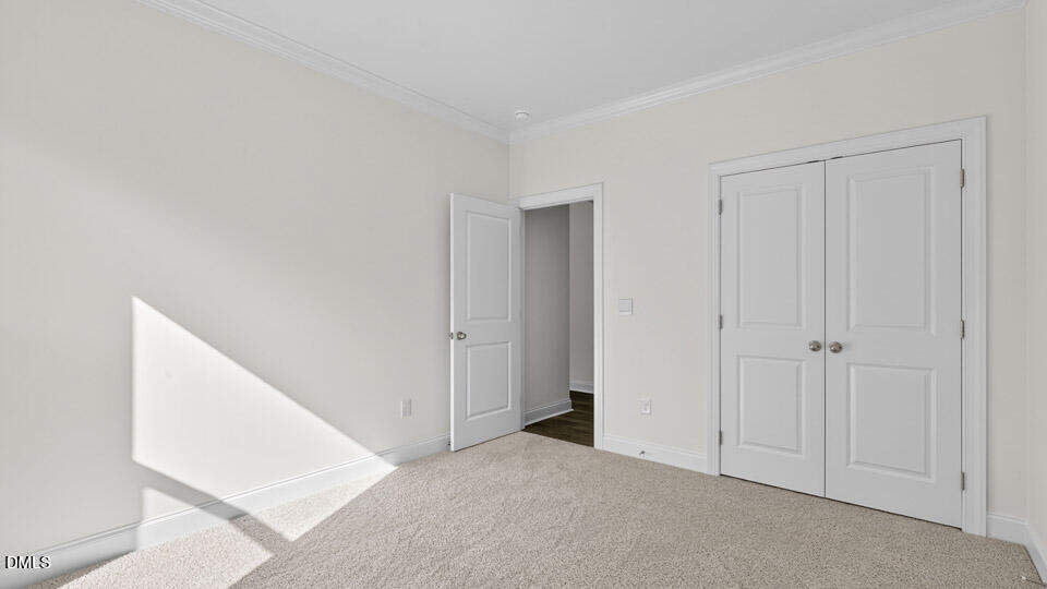 49 West Fire Opal Court Property Photo 24