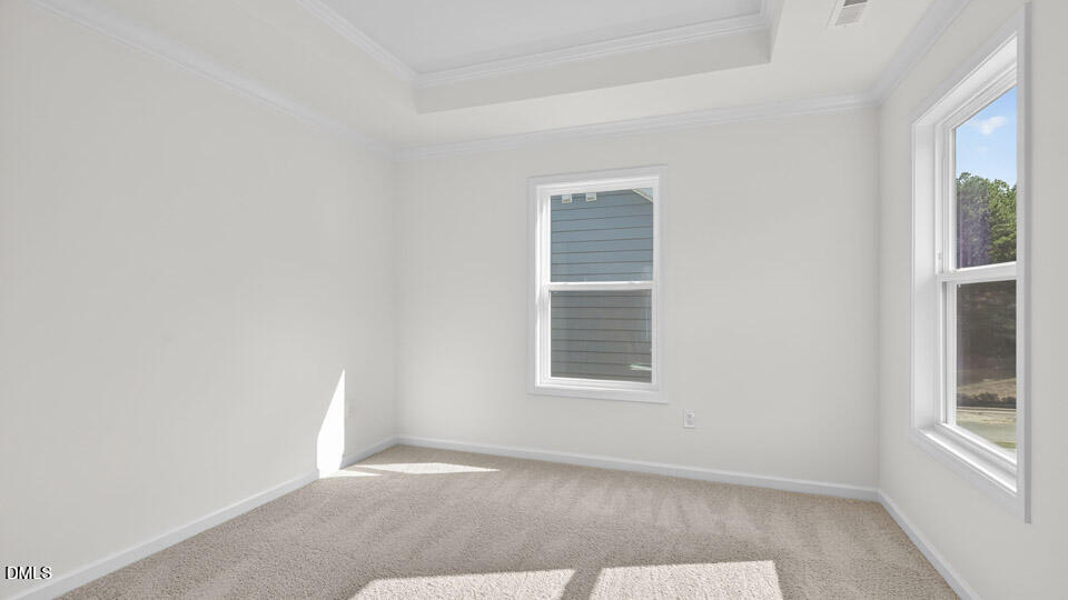 49 West Fire Opal Court Property Photo 26