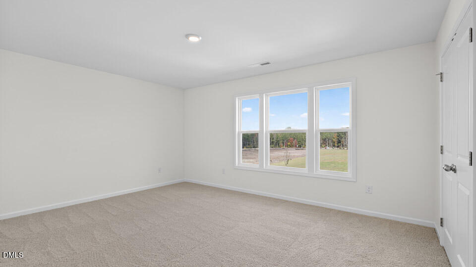 49 West Fire Opal Court Property Photo 27