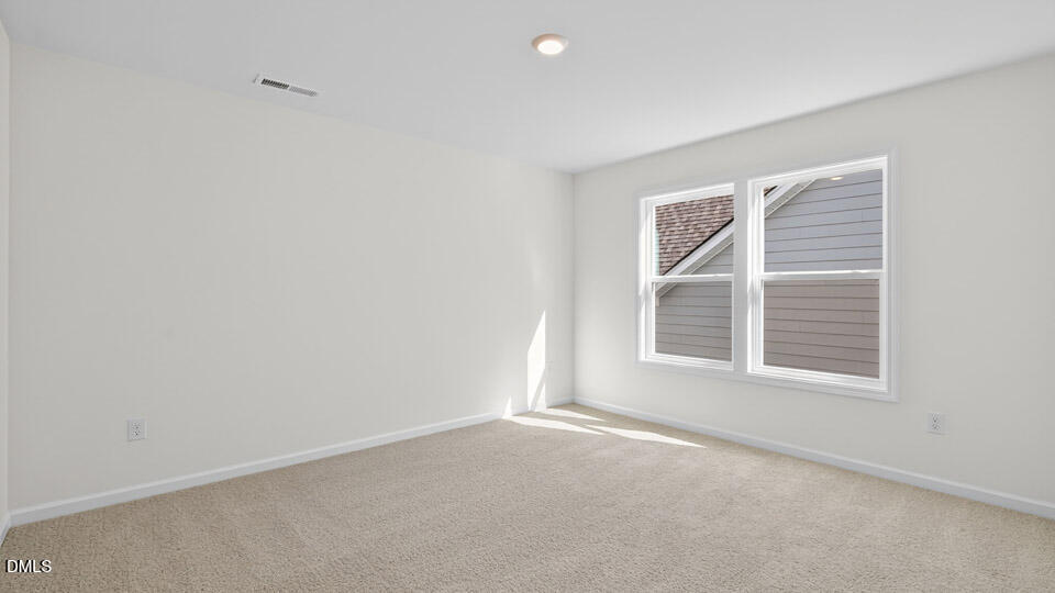 49 West Fire Opal Court Property Photo 29