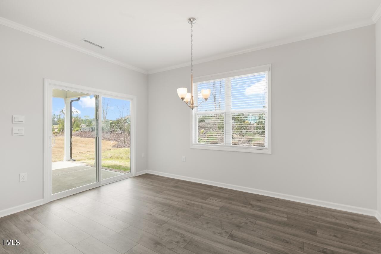 54 East Fire Opal Court Property Photo 11