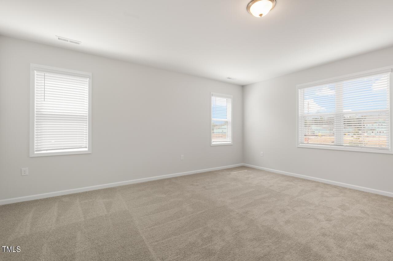 54 East Fire Opal Court Property Photo 15