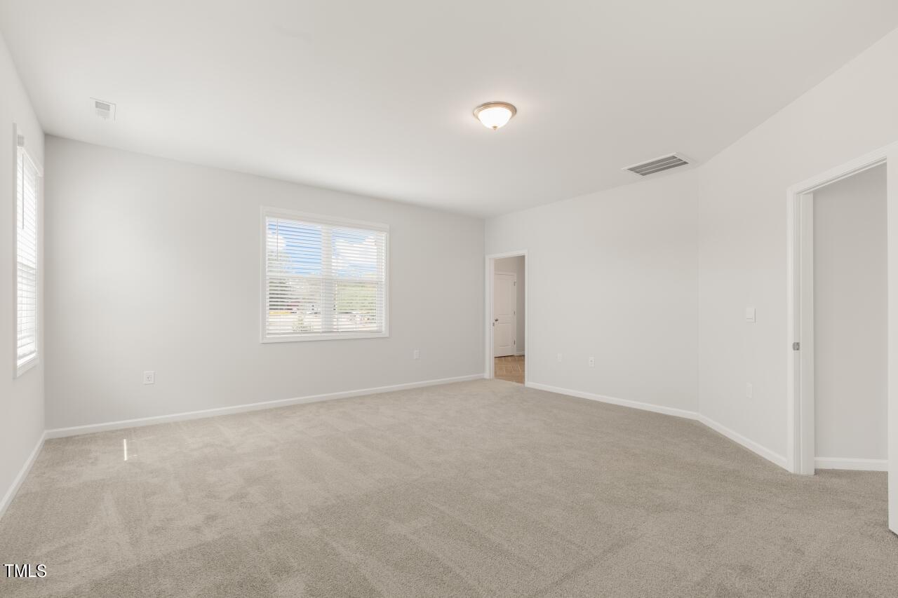 54 East Fire Opal Court Property Photo 16