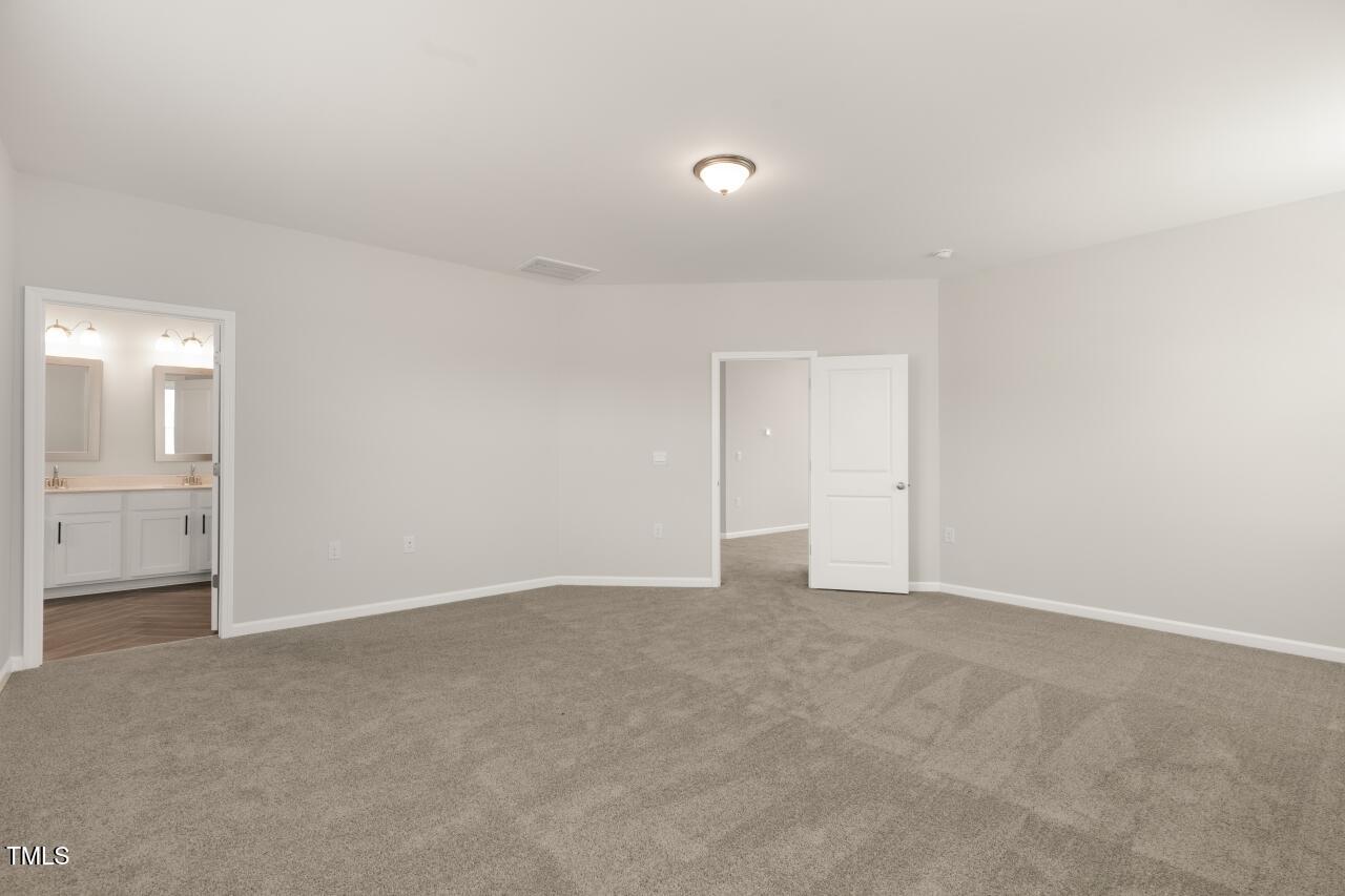 54 East Fire Opal Court Property Photo 17