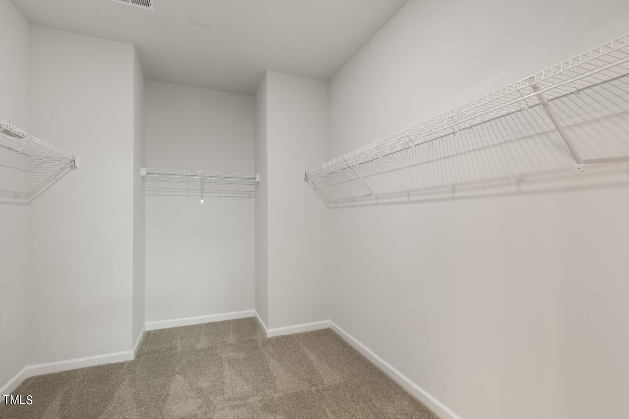 54 East Fire Opal Court Property Photo 20