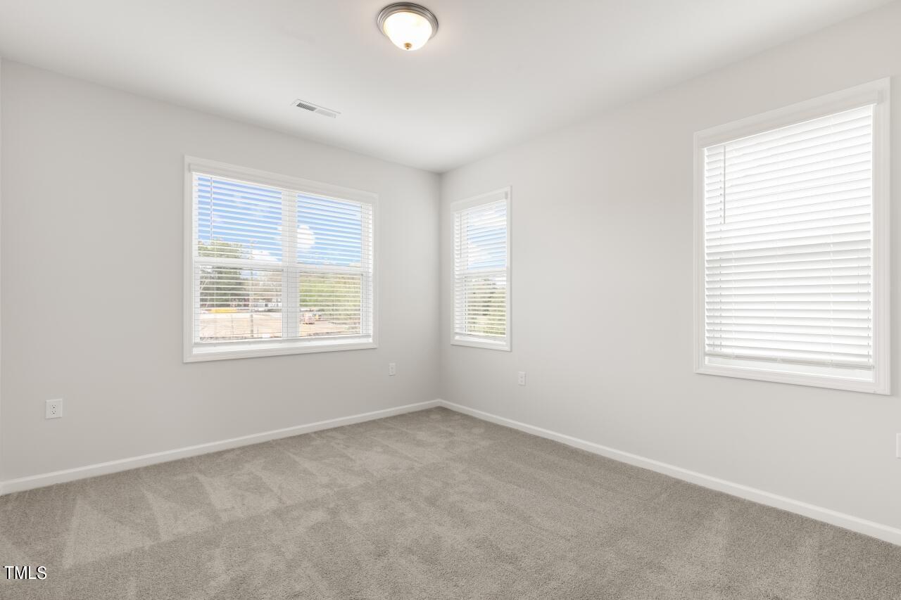 54 East Fire Opal Court Property Photo 26