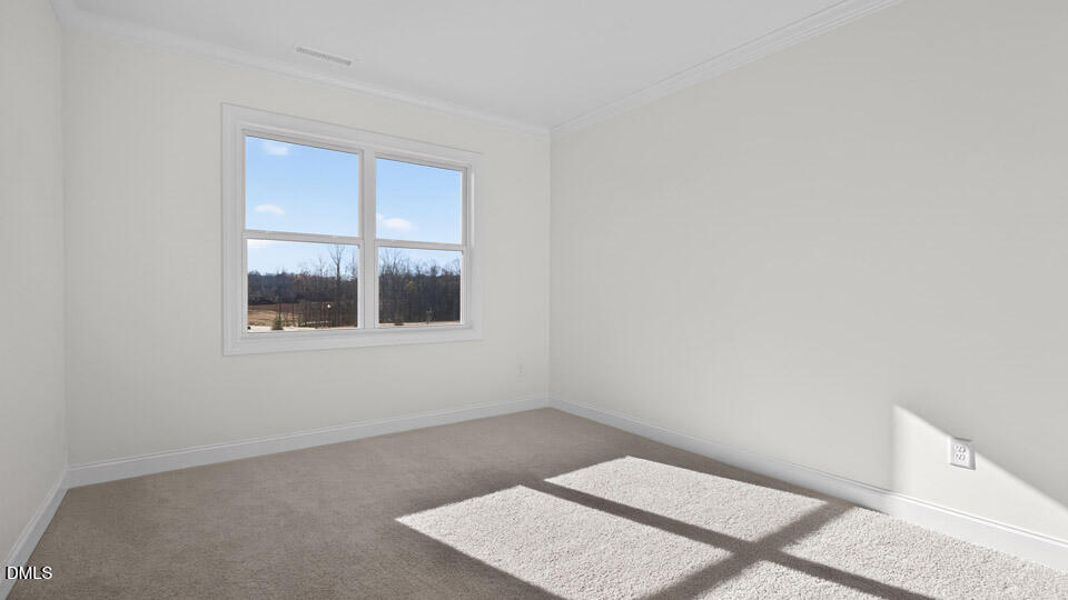 25 West Fire Opal Court Property Photo 18
