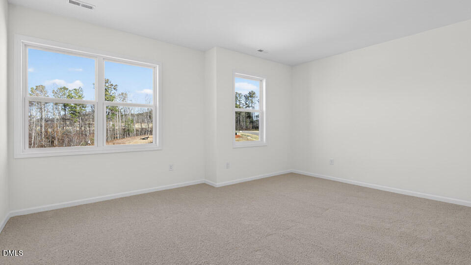 25 West Fire Opal Court Property Photo 20