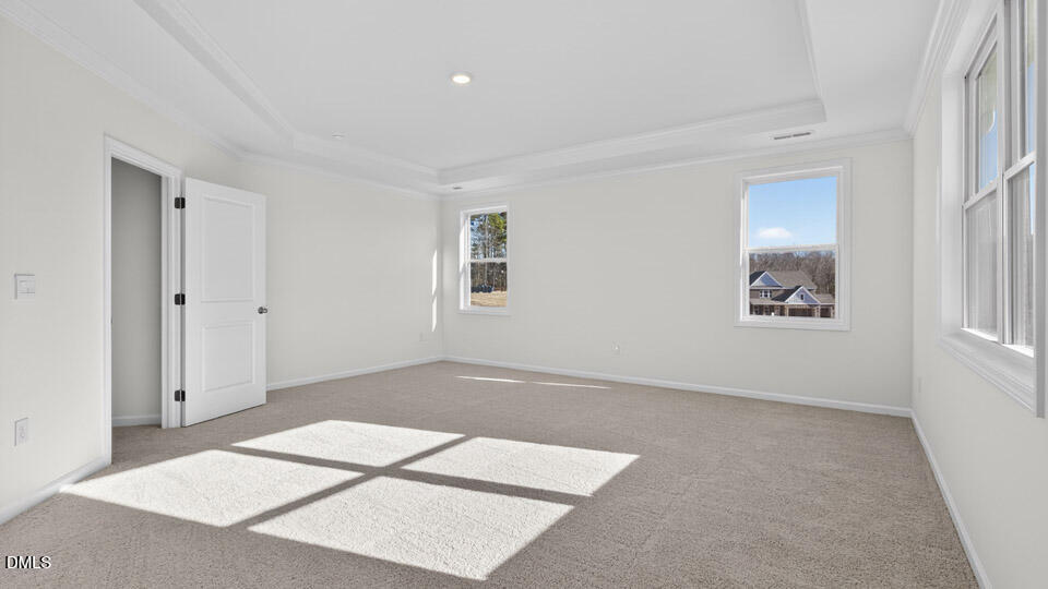25 West Fire Opal Court Property Photo 24
