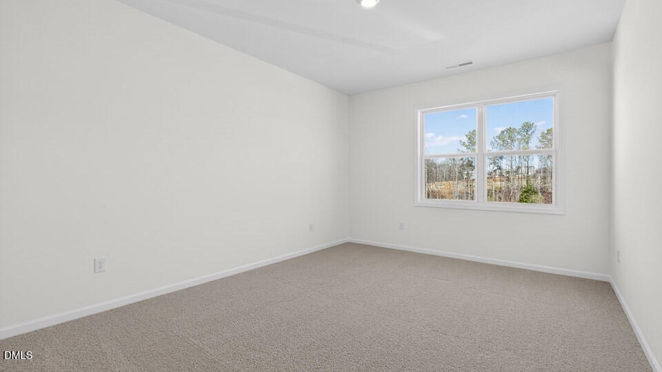25 West Fire Opal Court Property Photo 30