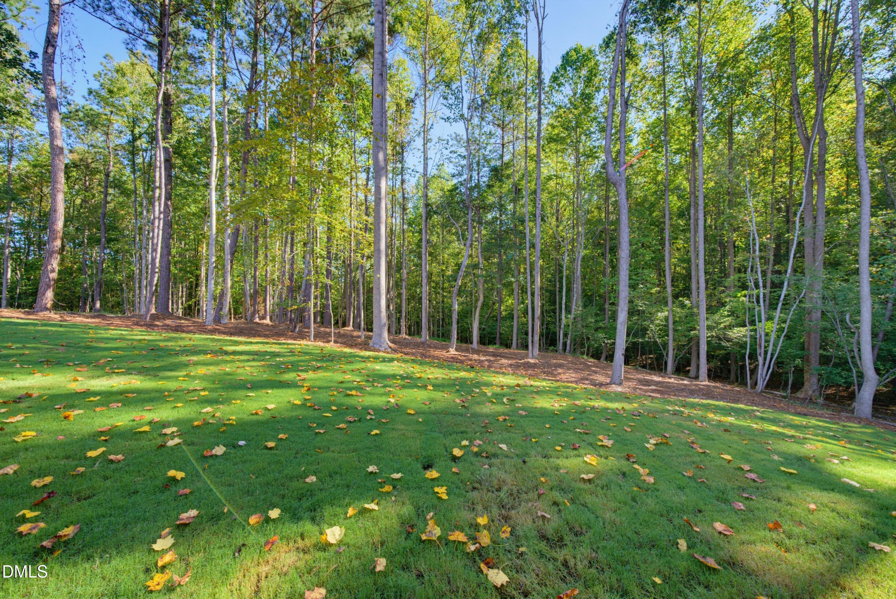 404 Shinleaf Pond Trail Property Photo 6