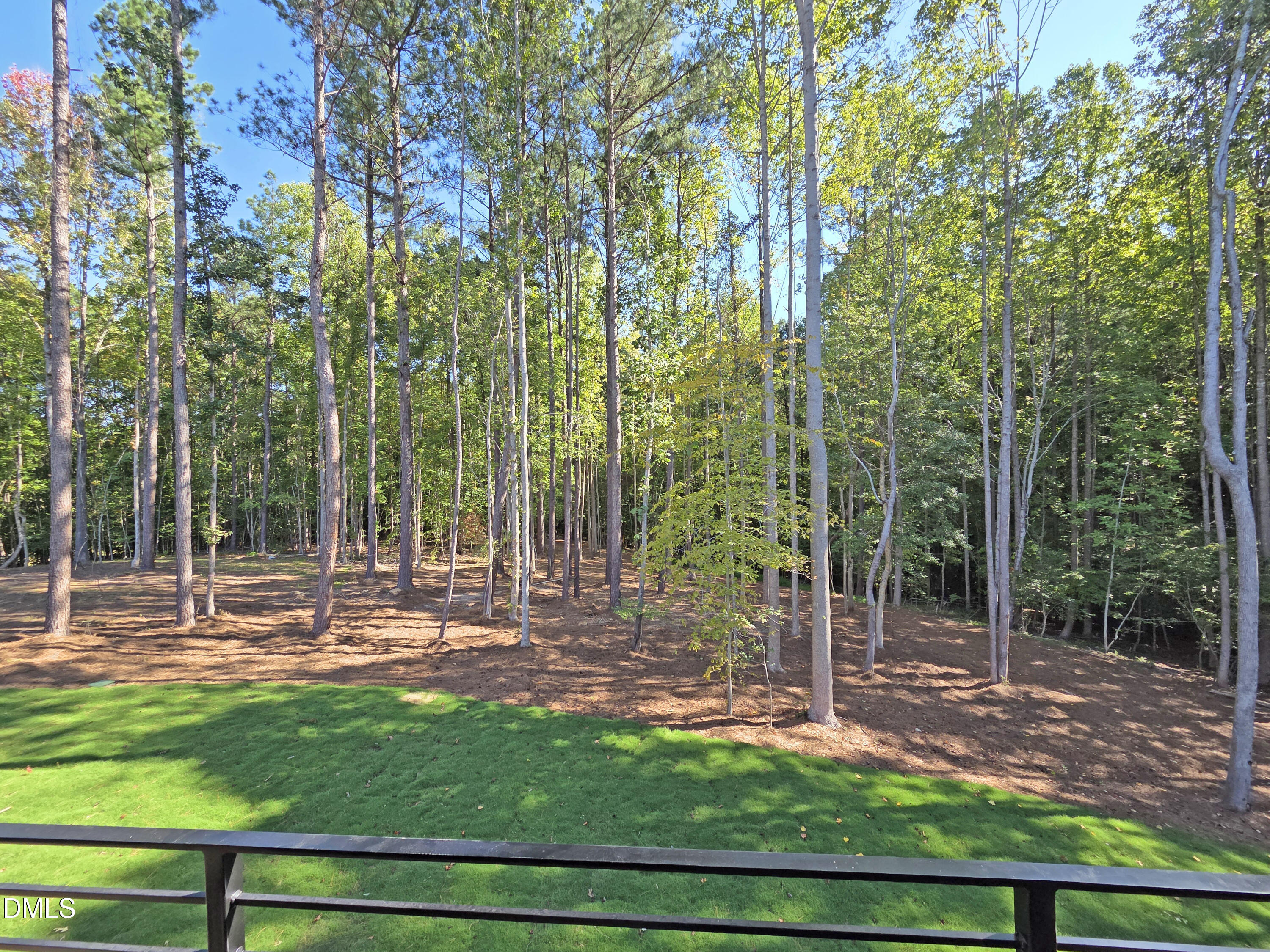 404 Shinleaf Pond Trail Property Photo 54
