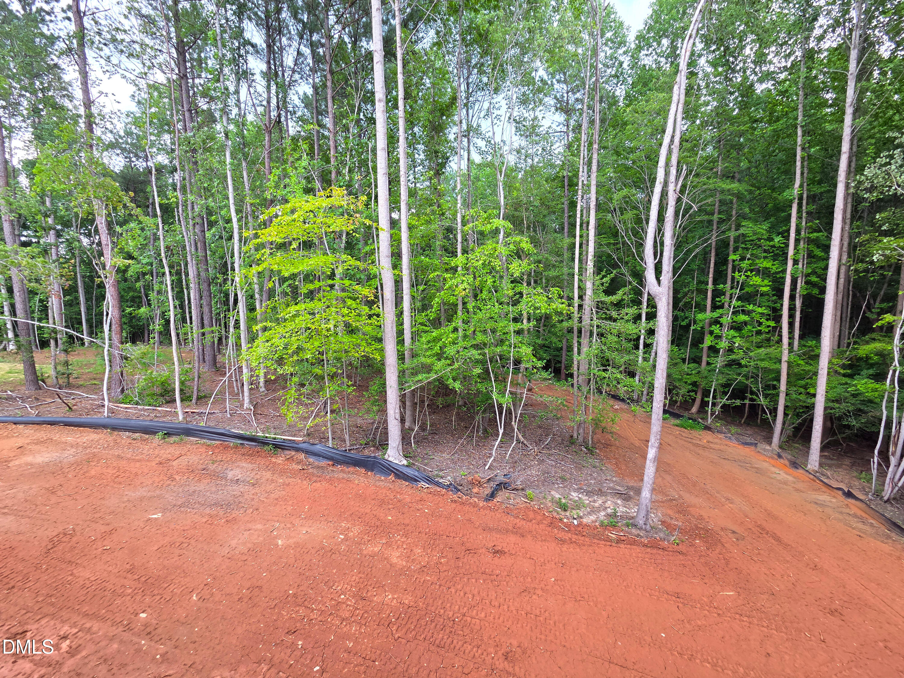 404 Shinleaf Pond Trail Property Photo 55