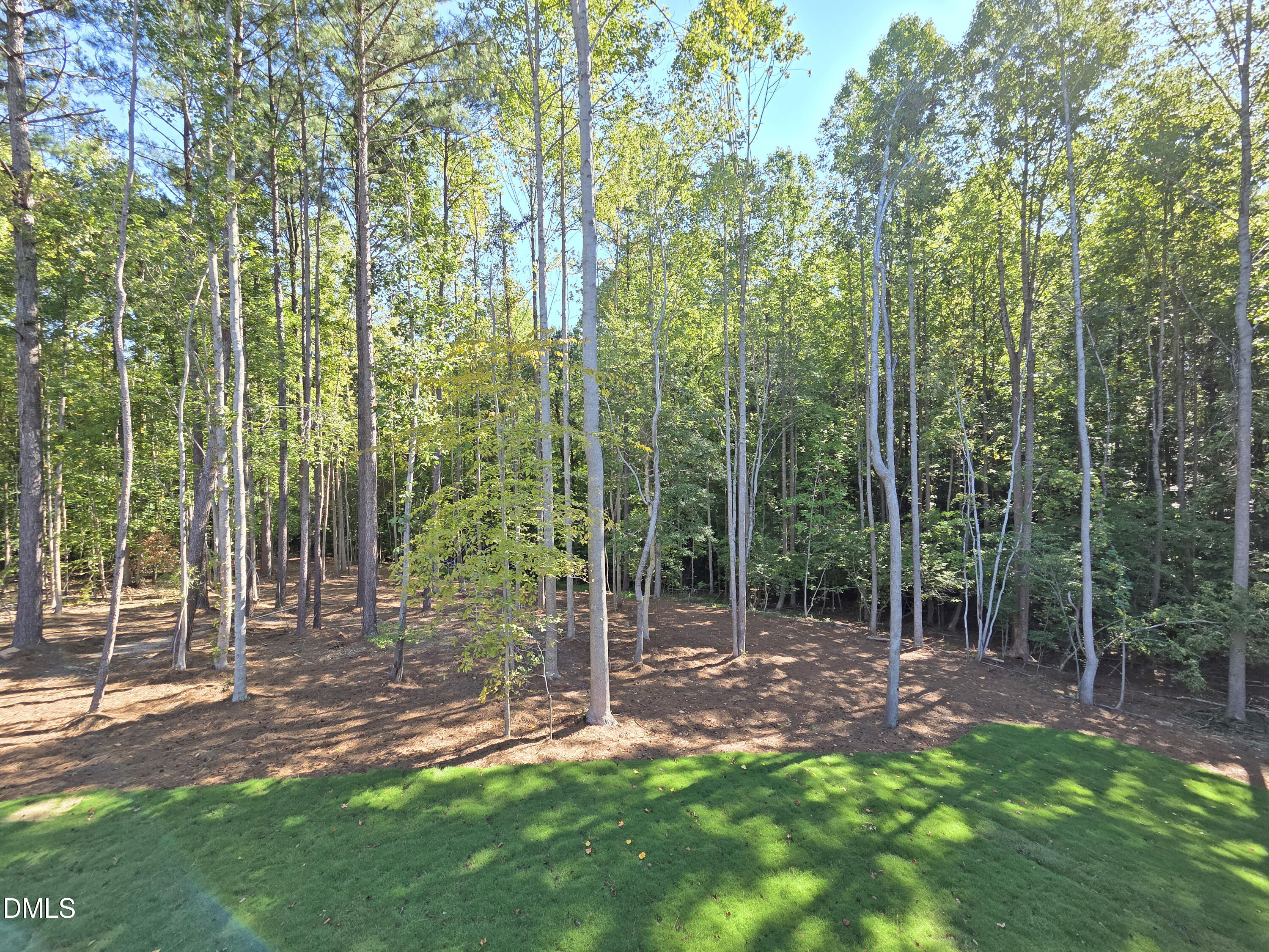 404 Shinleaf Pond Trail Property Photo 56