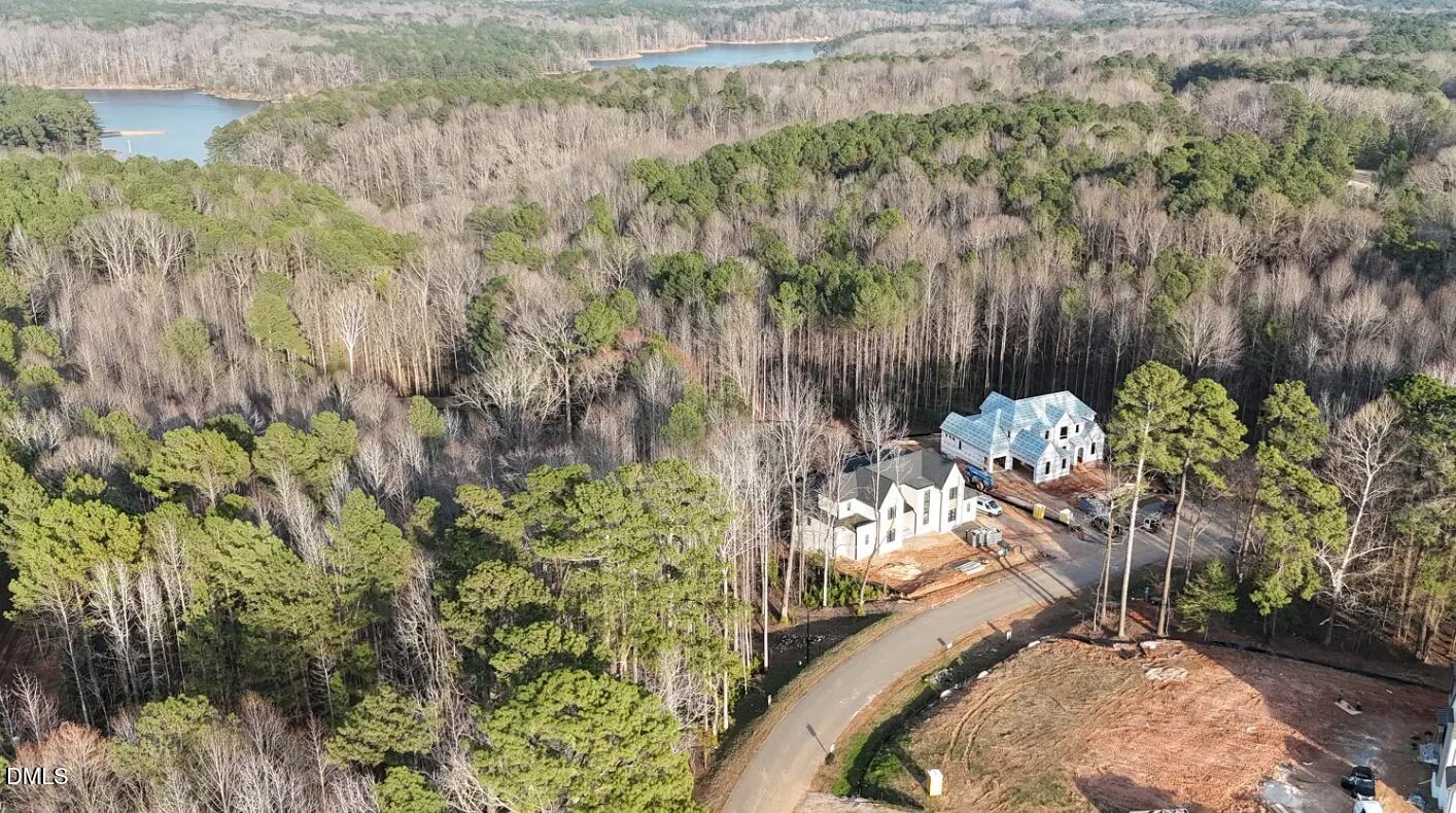 404 Shinleaf Pond Trail Property Photo 62
