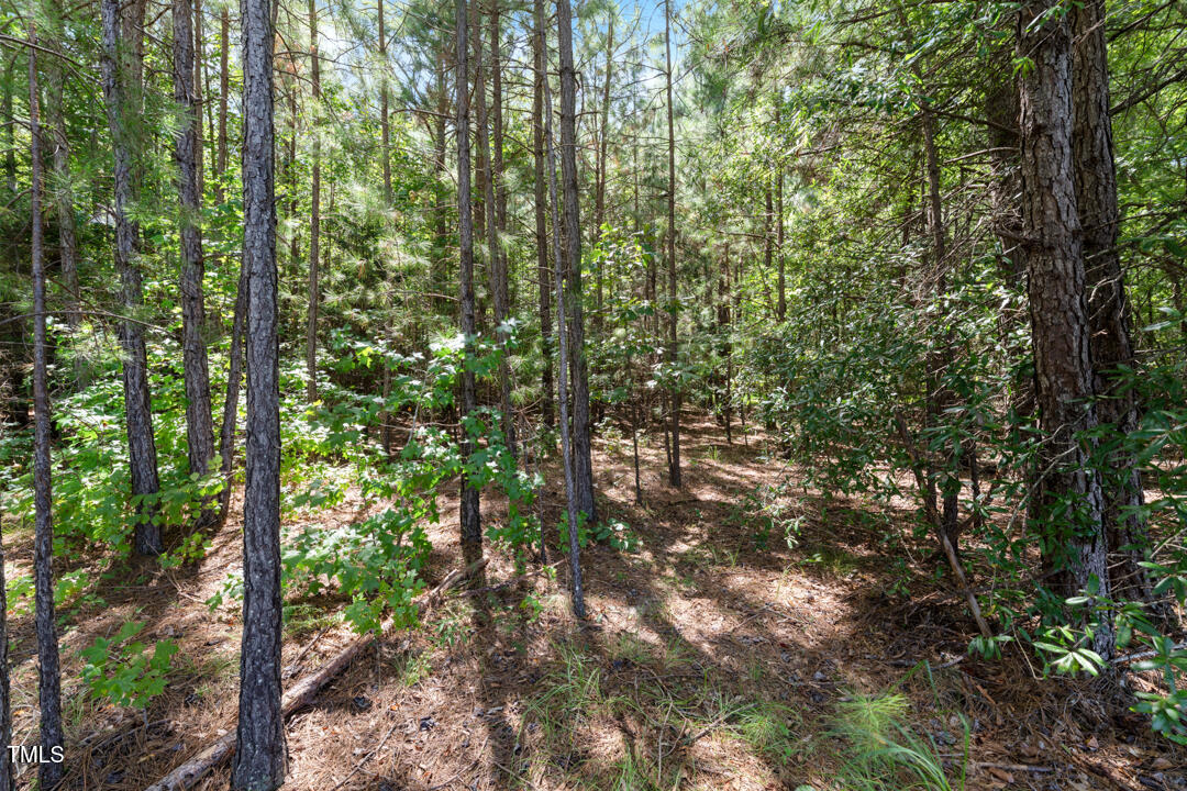 4106 Wilson Town Road Property Photo 1