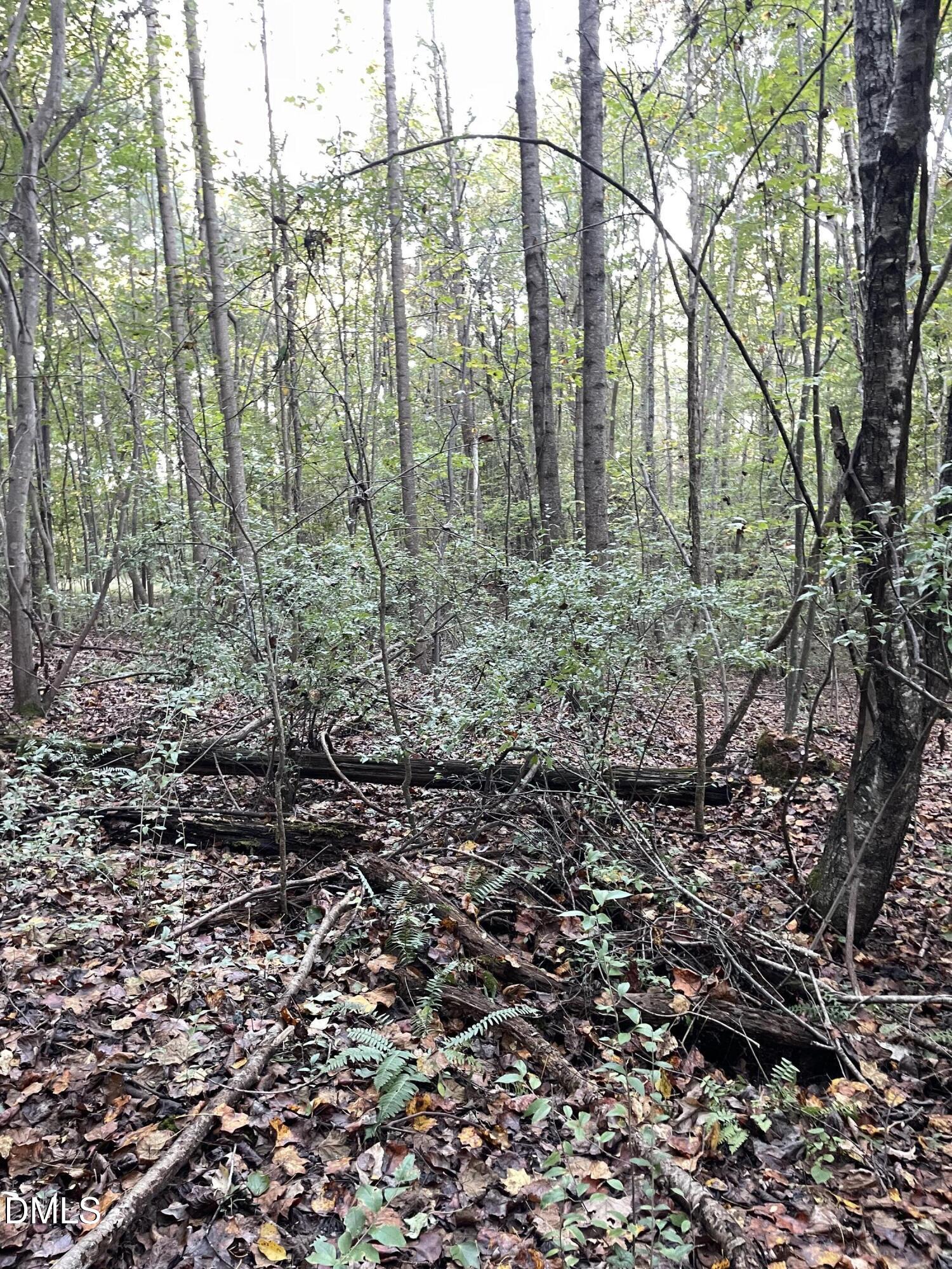 2865 Silk Hope Gum Springs Road Property Photo 3