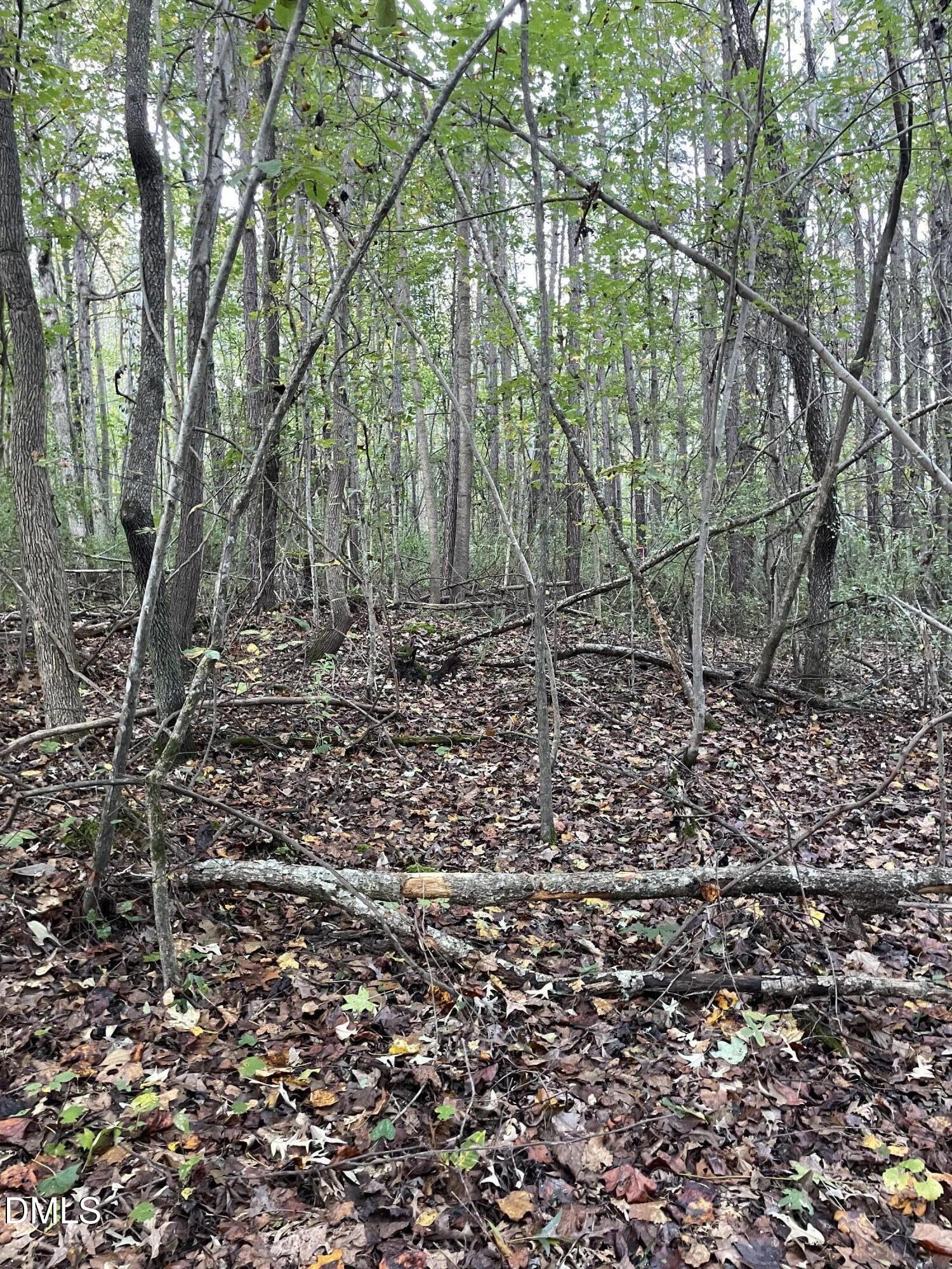 2865 Silk Hope Gum Springs Road Property Photo 6
