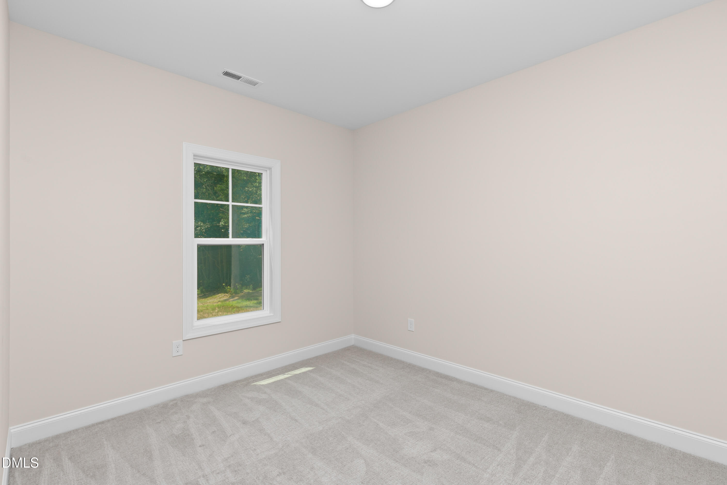 178 Surles Landing Way Property Photo 12