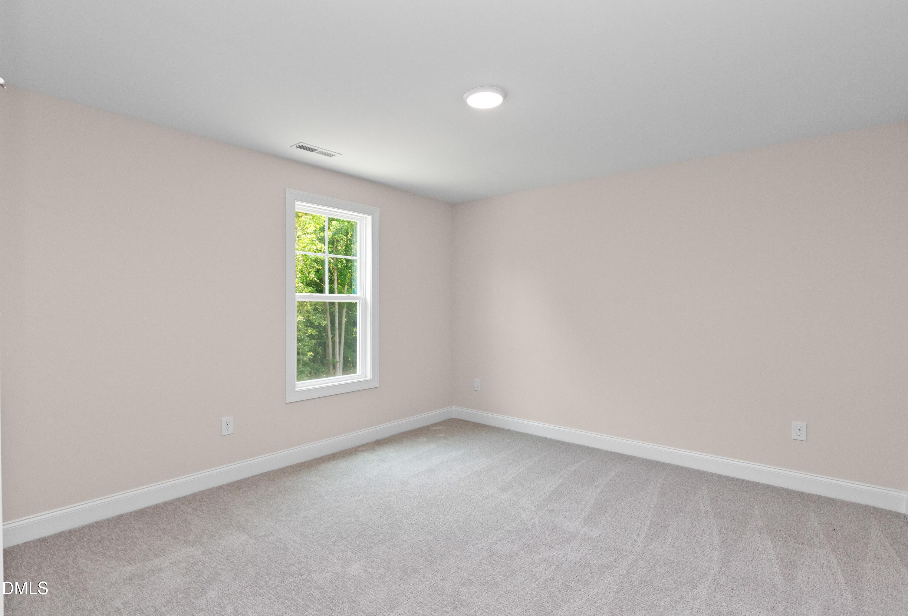 178 Surles Landing Way Property Photo 21