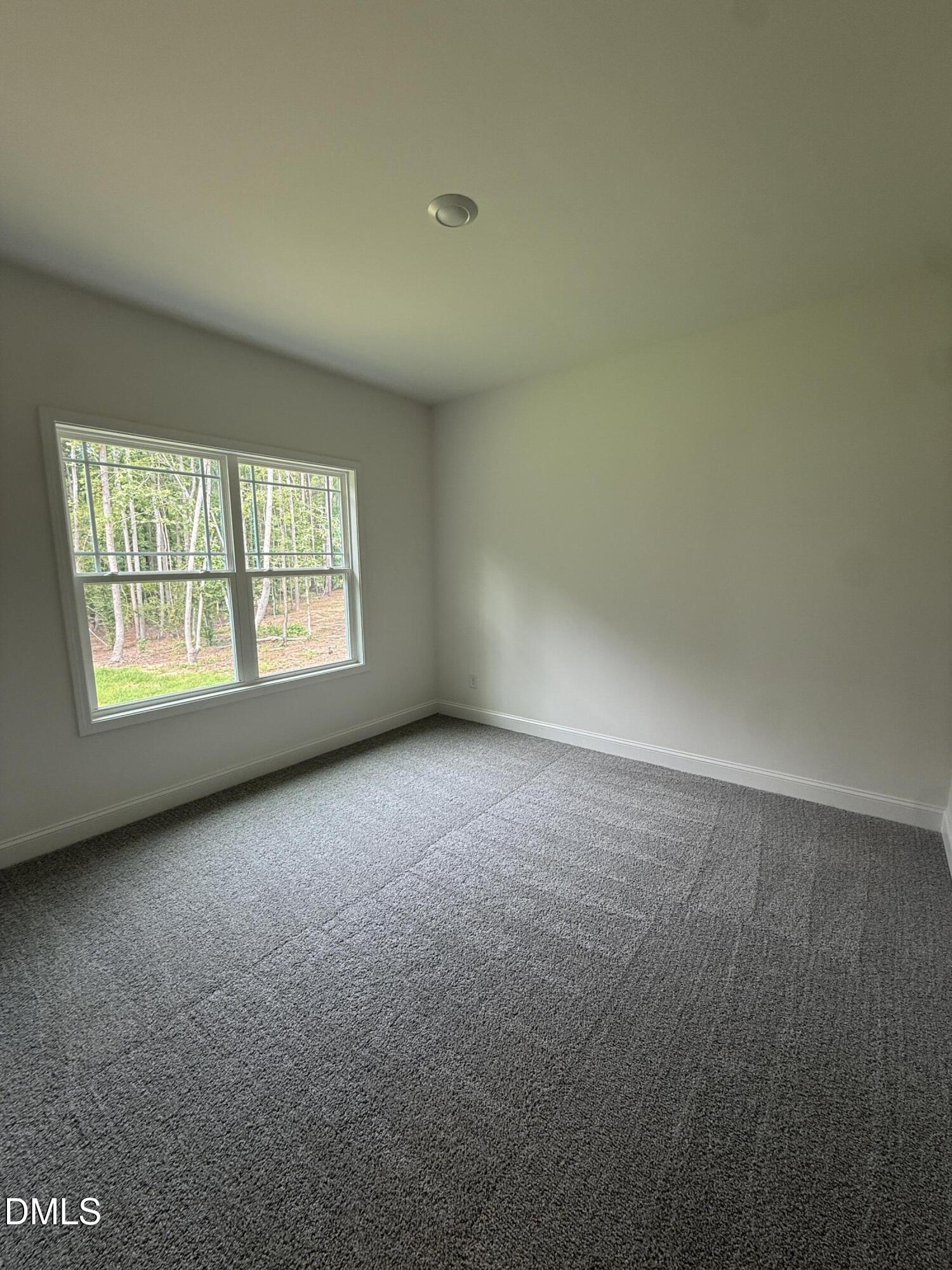 30 Lemon Drop Lane Property Photo 21