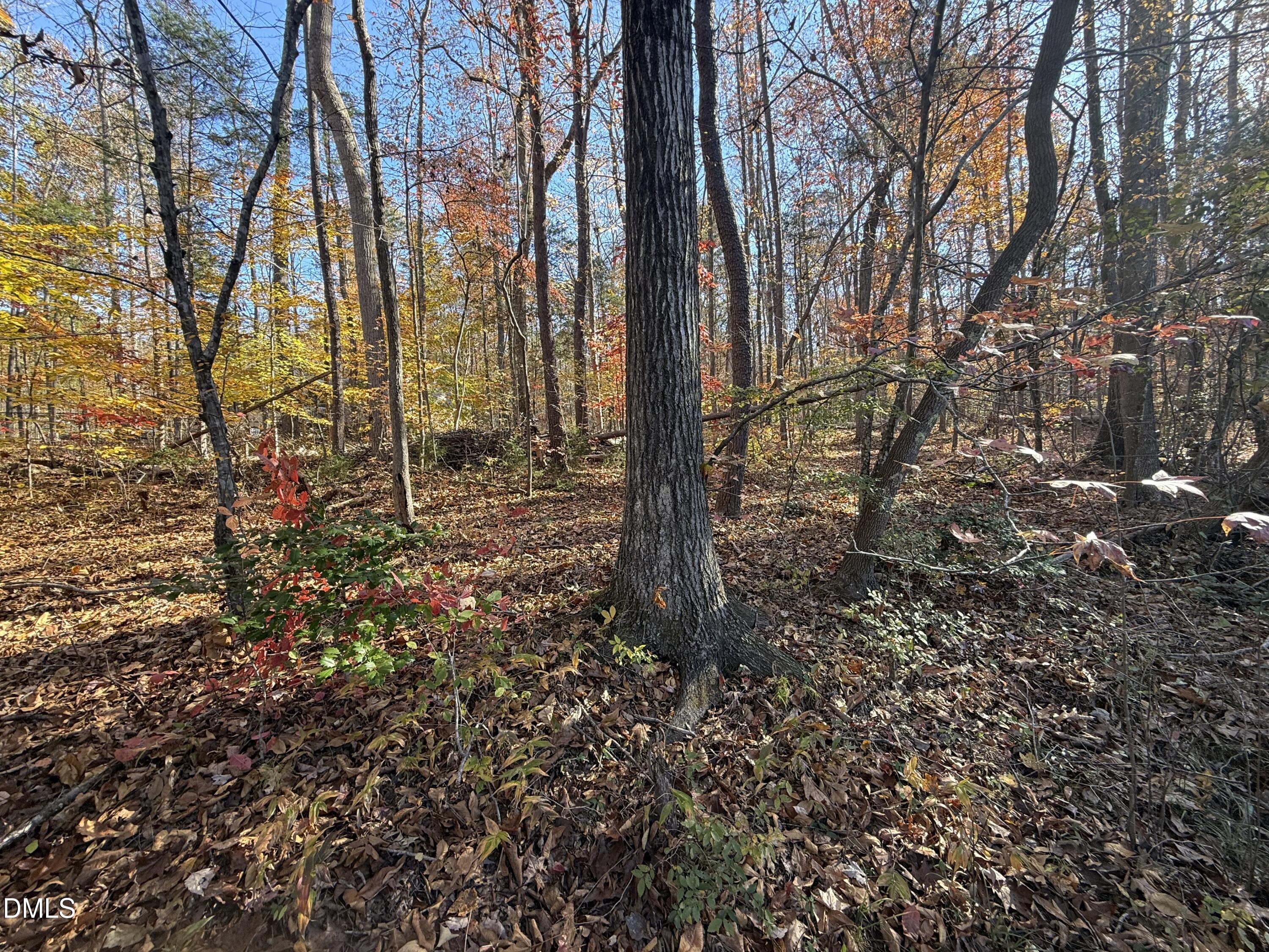 531 Pointe Mayo Drive Property Photo 3