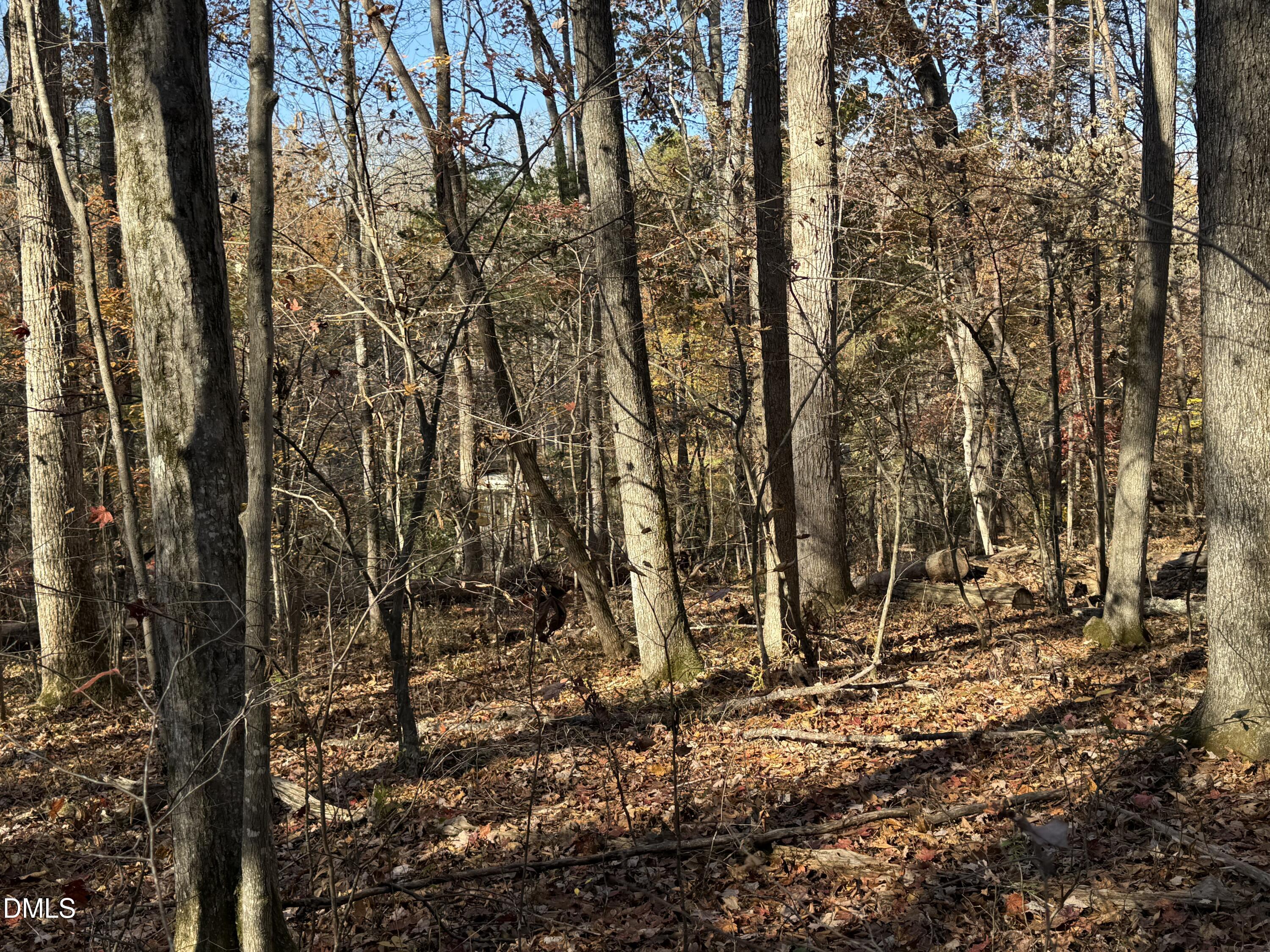 531 Pointe Mayo Drive Property Photo 5