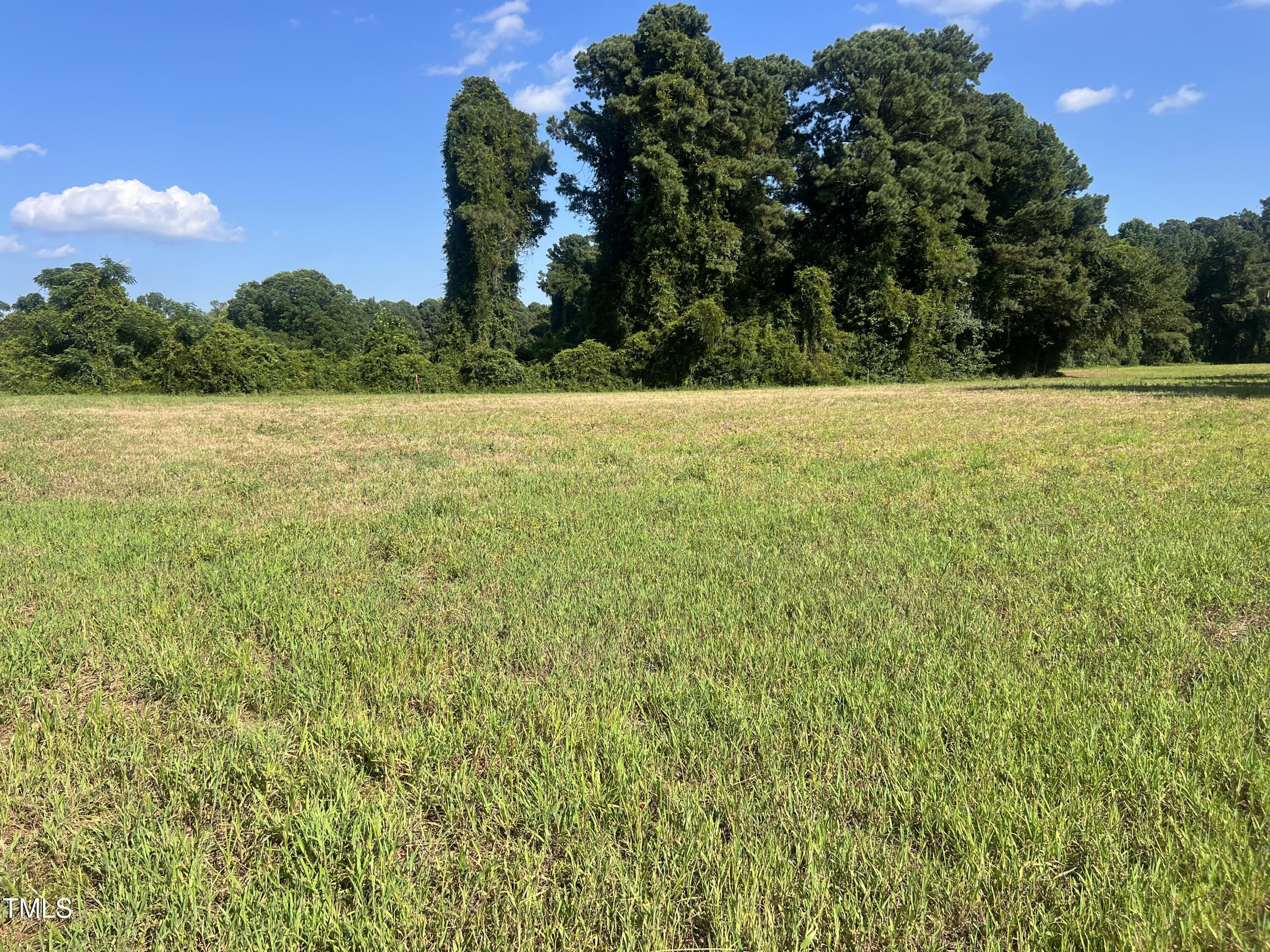 270 Brinkley Road Property Photo 1