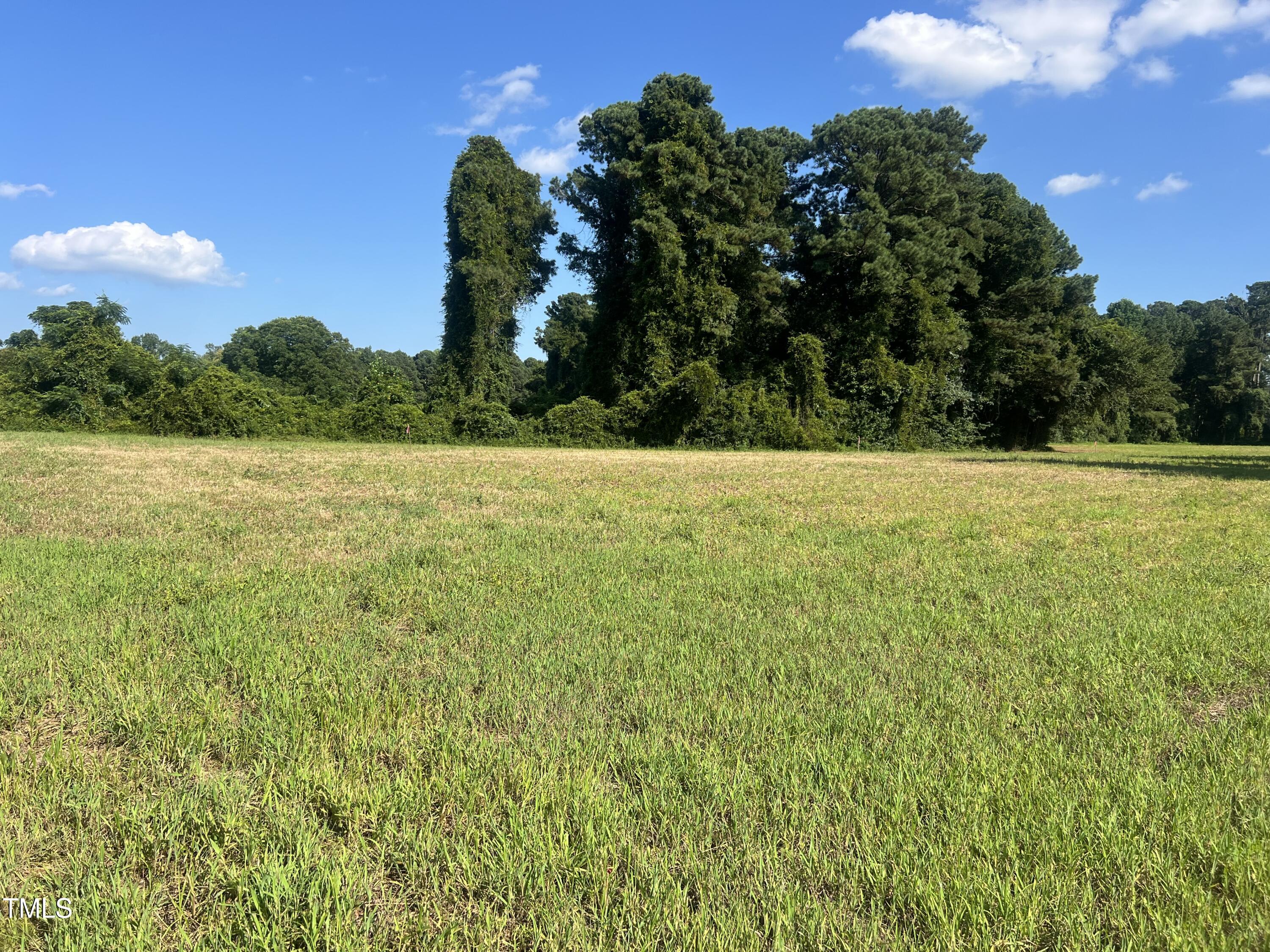 270 Brinkley Road Property Photo 2