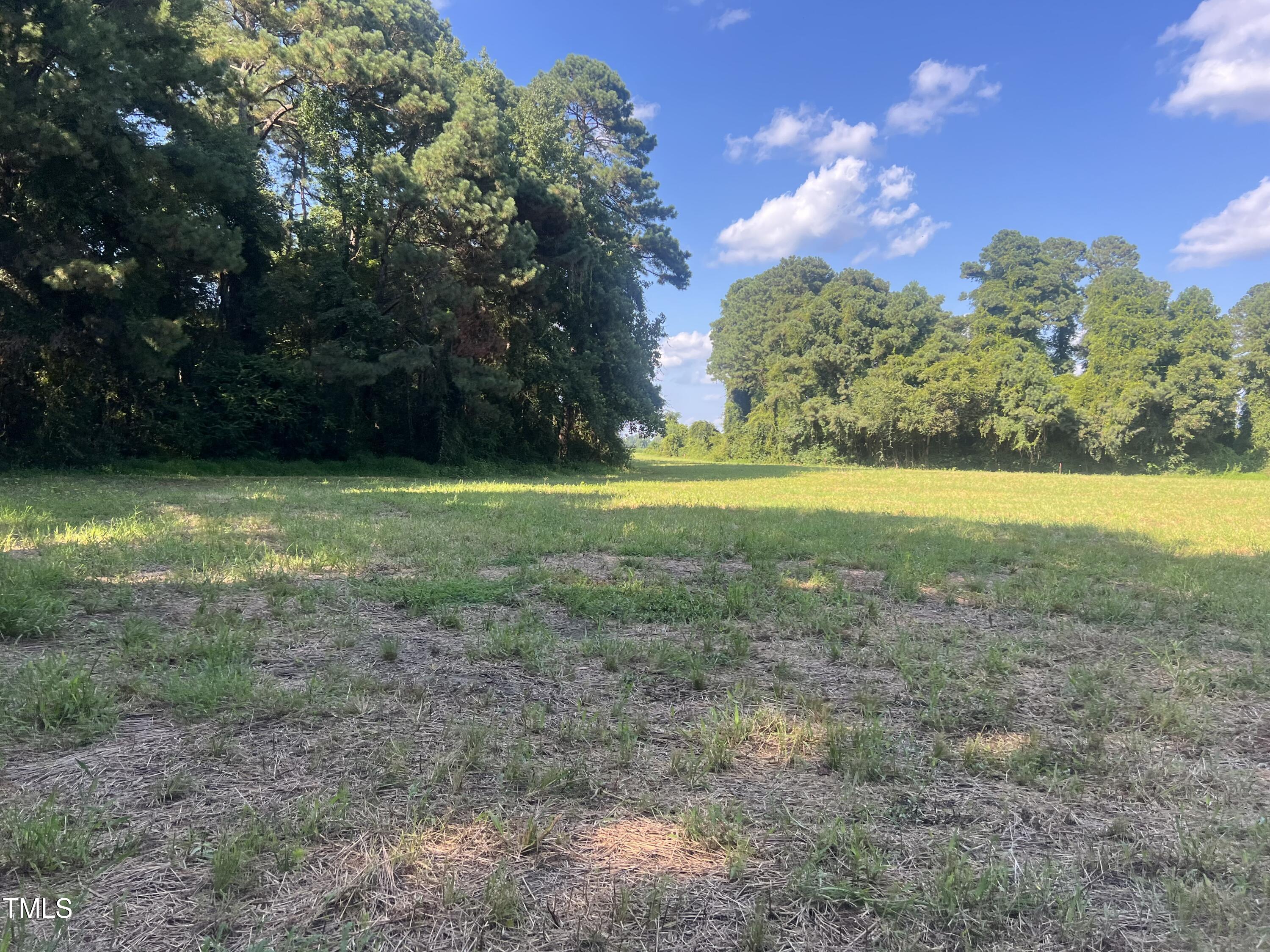 270 Brinkley Road Property Photo 4