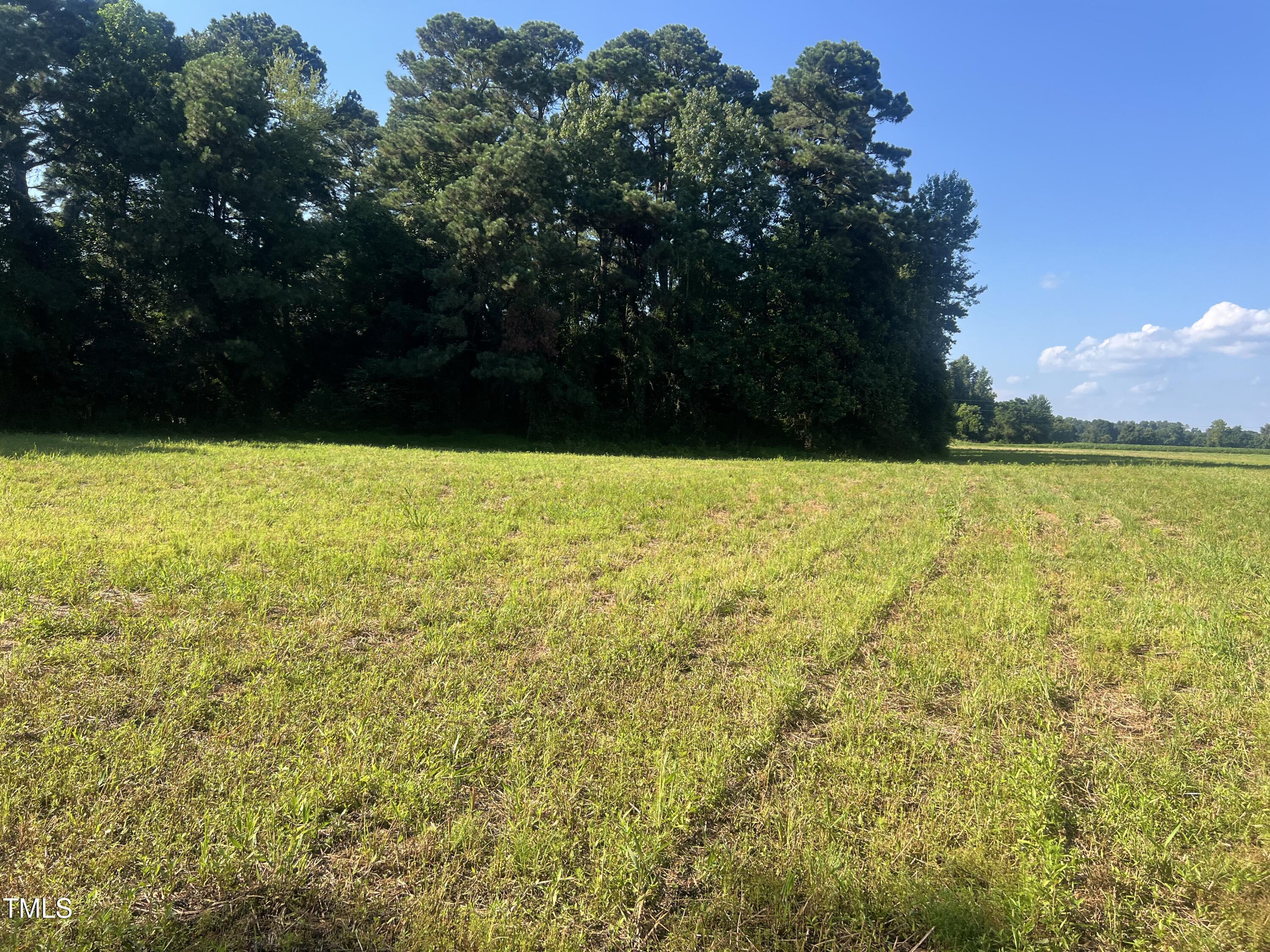 270 Brinkley Road Property Photo 6