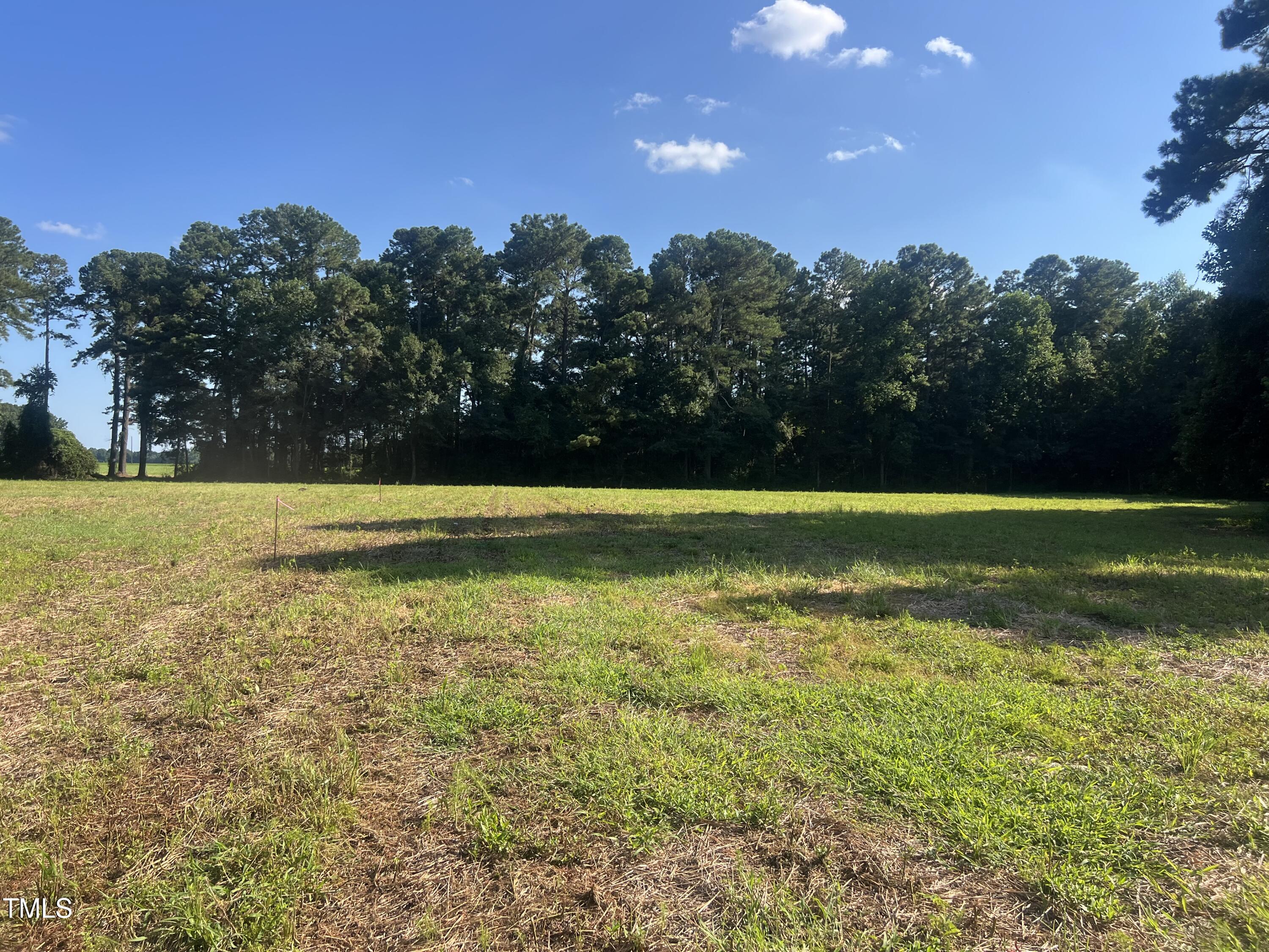 270 Brinkley Road Property Photo 10