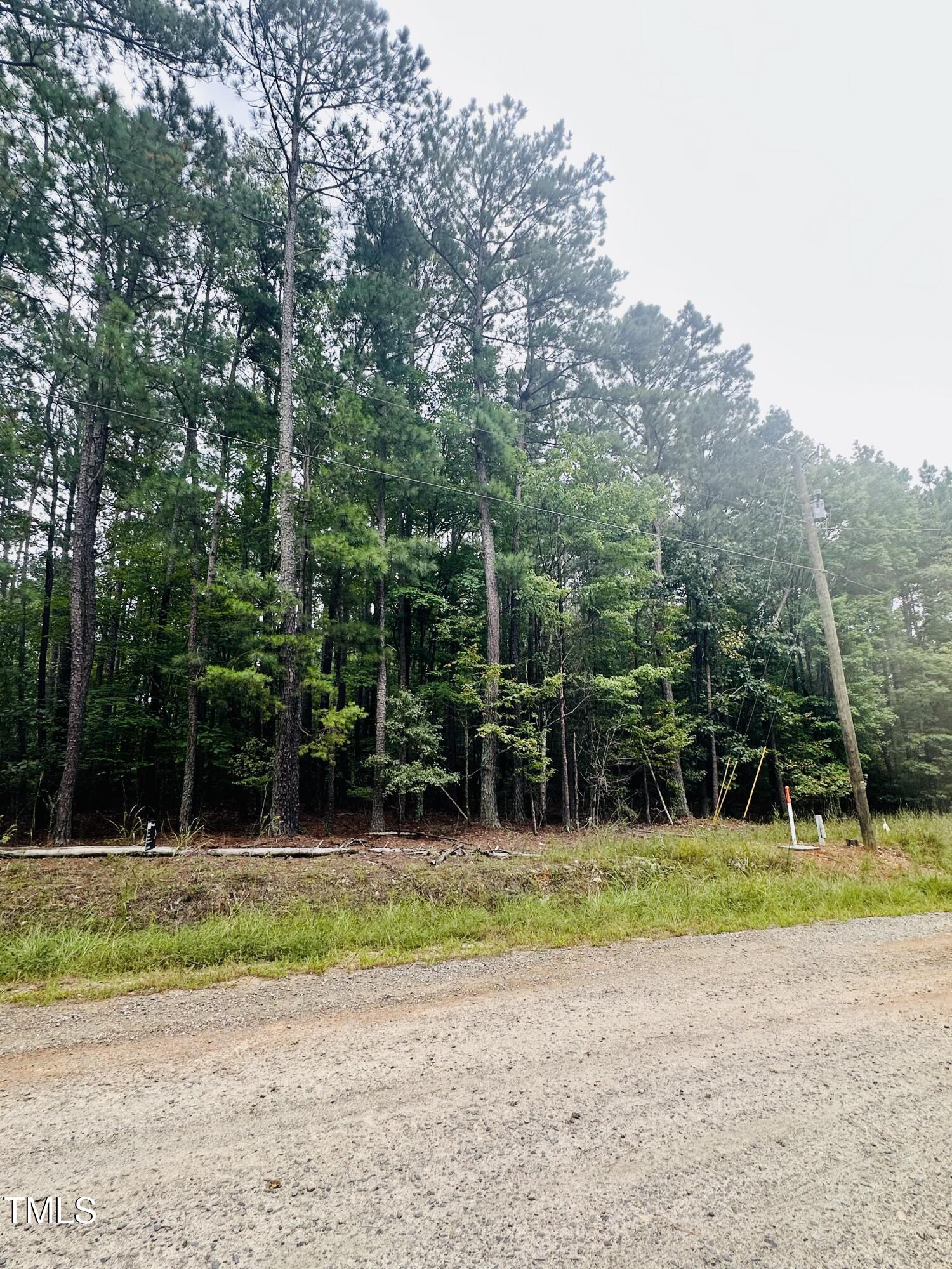 Lot 10 Natchez Trace Lot 10 Blk 1 Property Photo 2