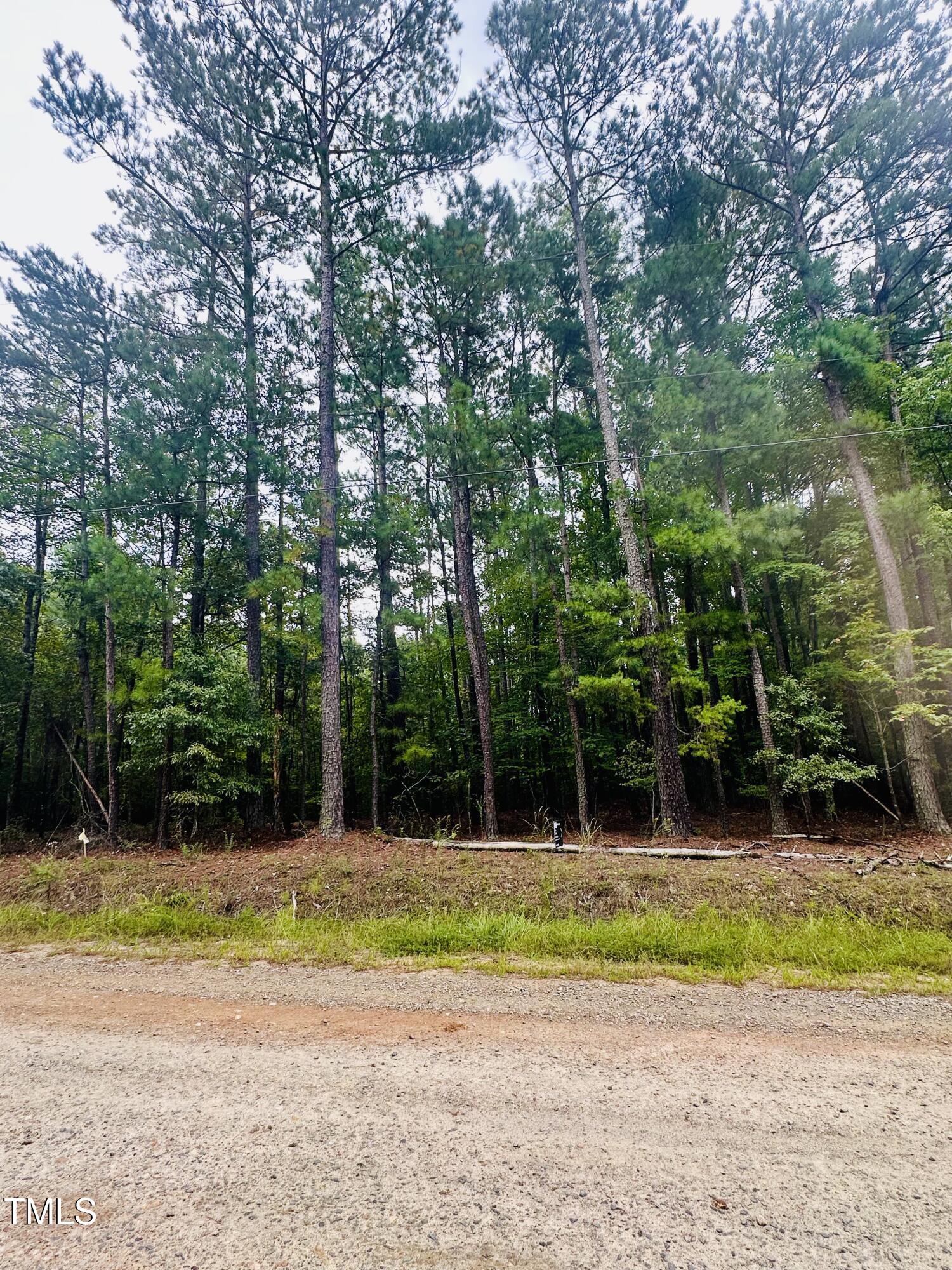Lot 10 Natchez Trace Lot 10 Blk 1 Property Photo 3