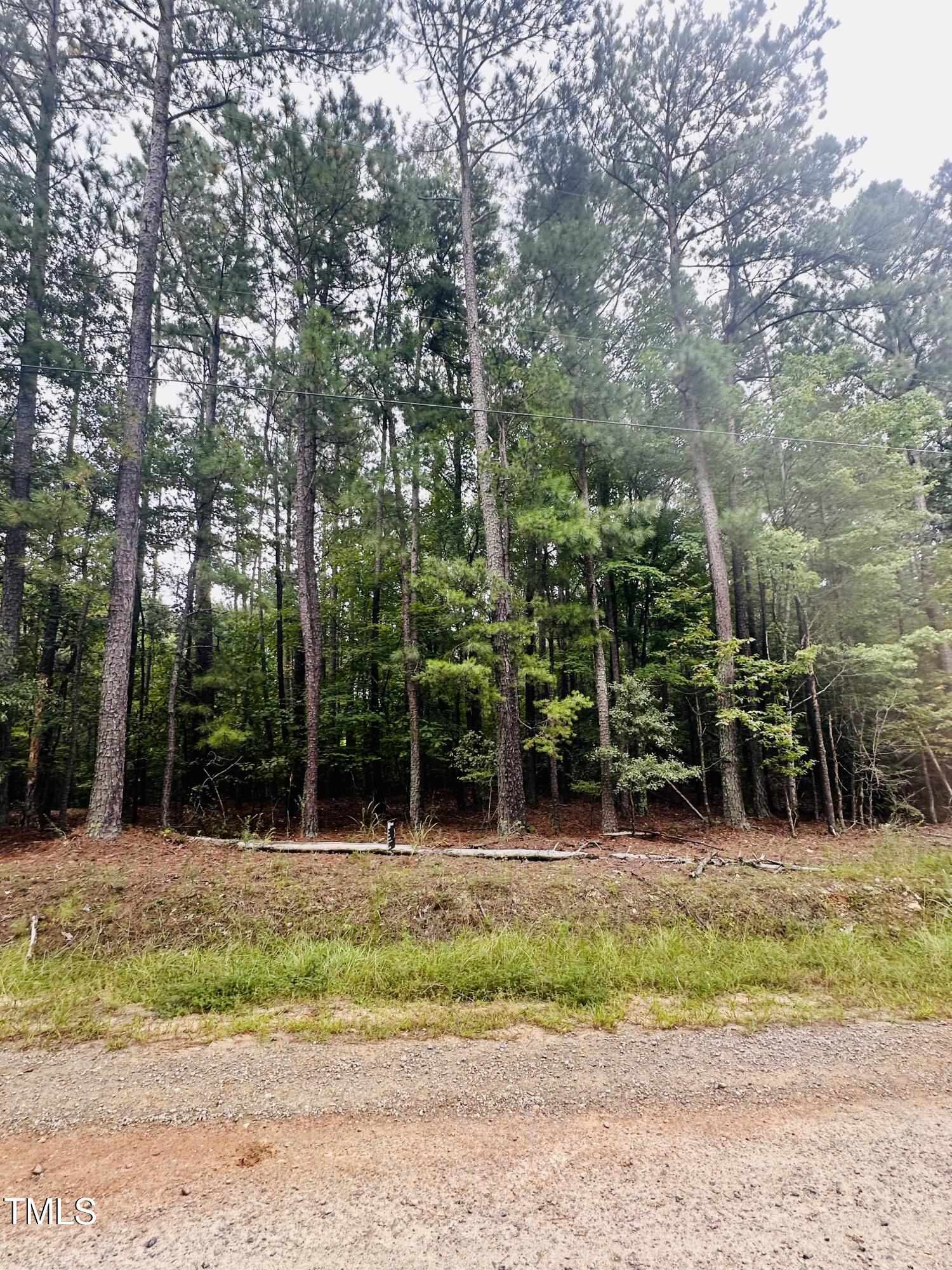 Lot 10 Natchez Trace Lot 10 Blk 1 Property Photo 4