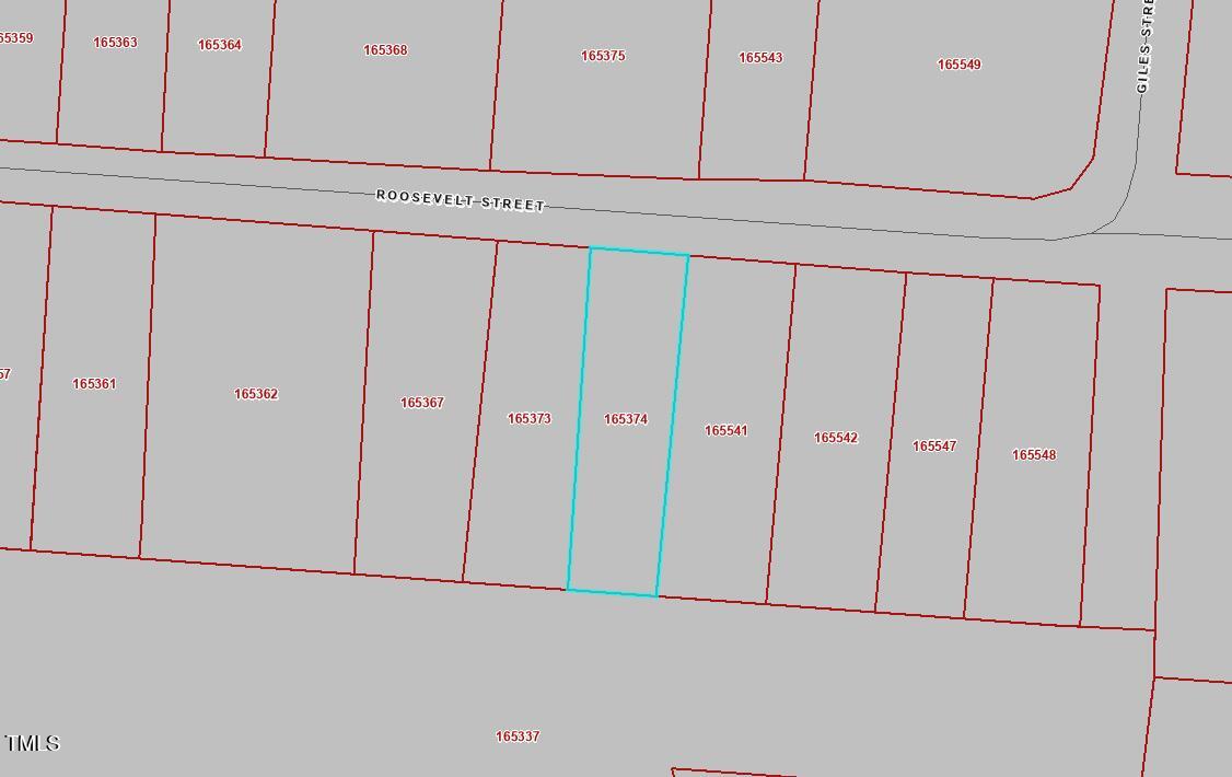 0 Roosevelt St Street Property Photo 1