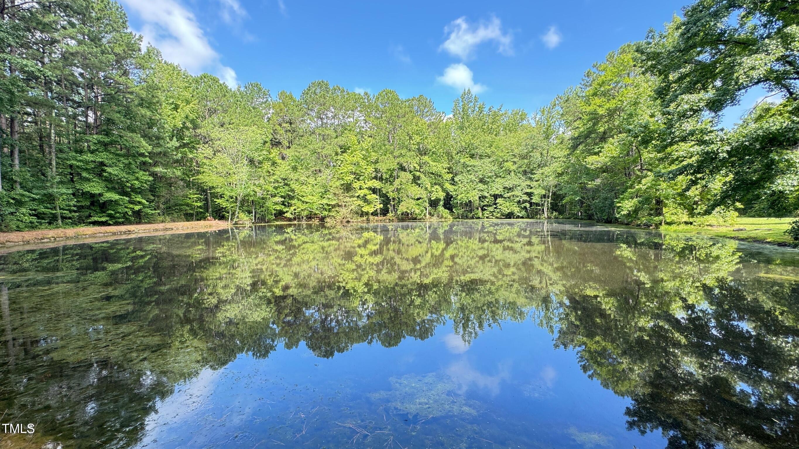 2229 Lizard Lick Road Property Photo 46