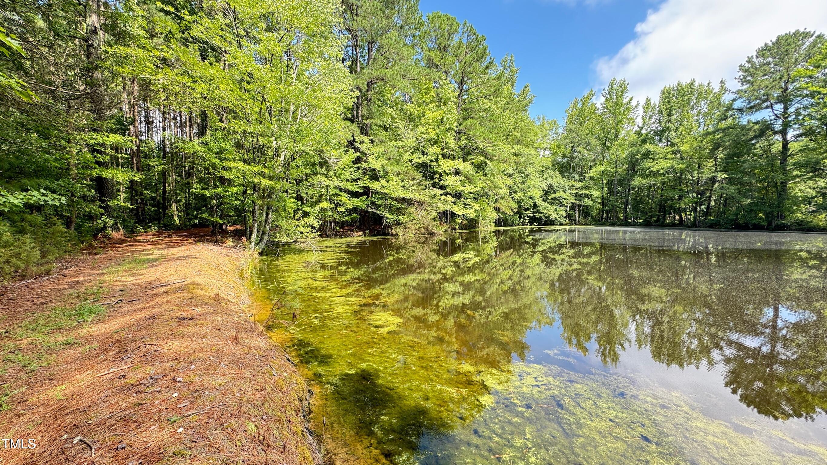 2229 Lizard Lick Road Property Photo 47