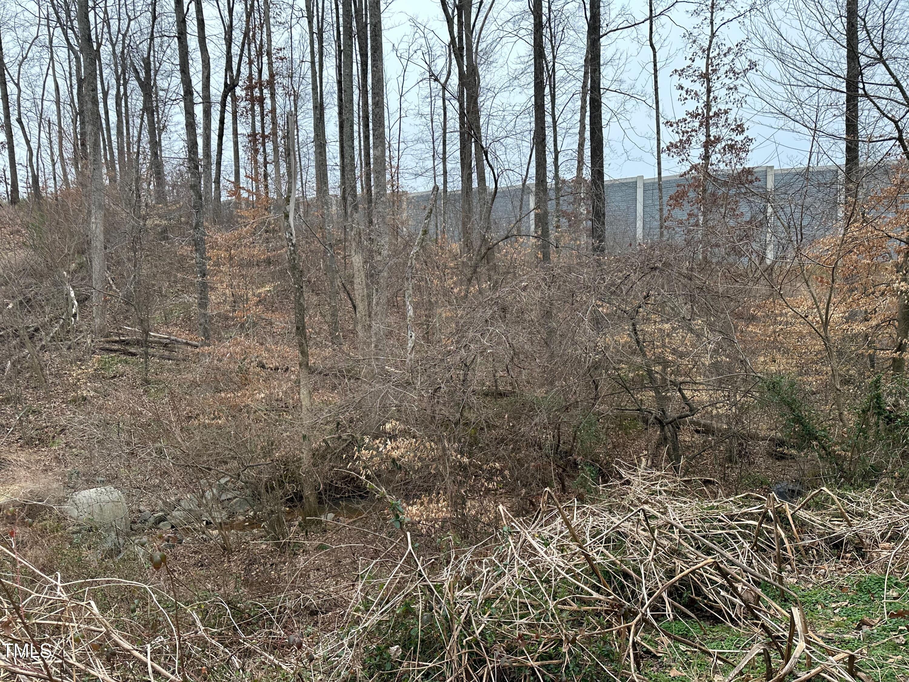 0 Crooked Run Road Property Photo 4
