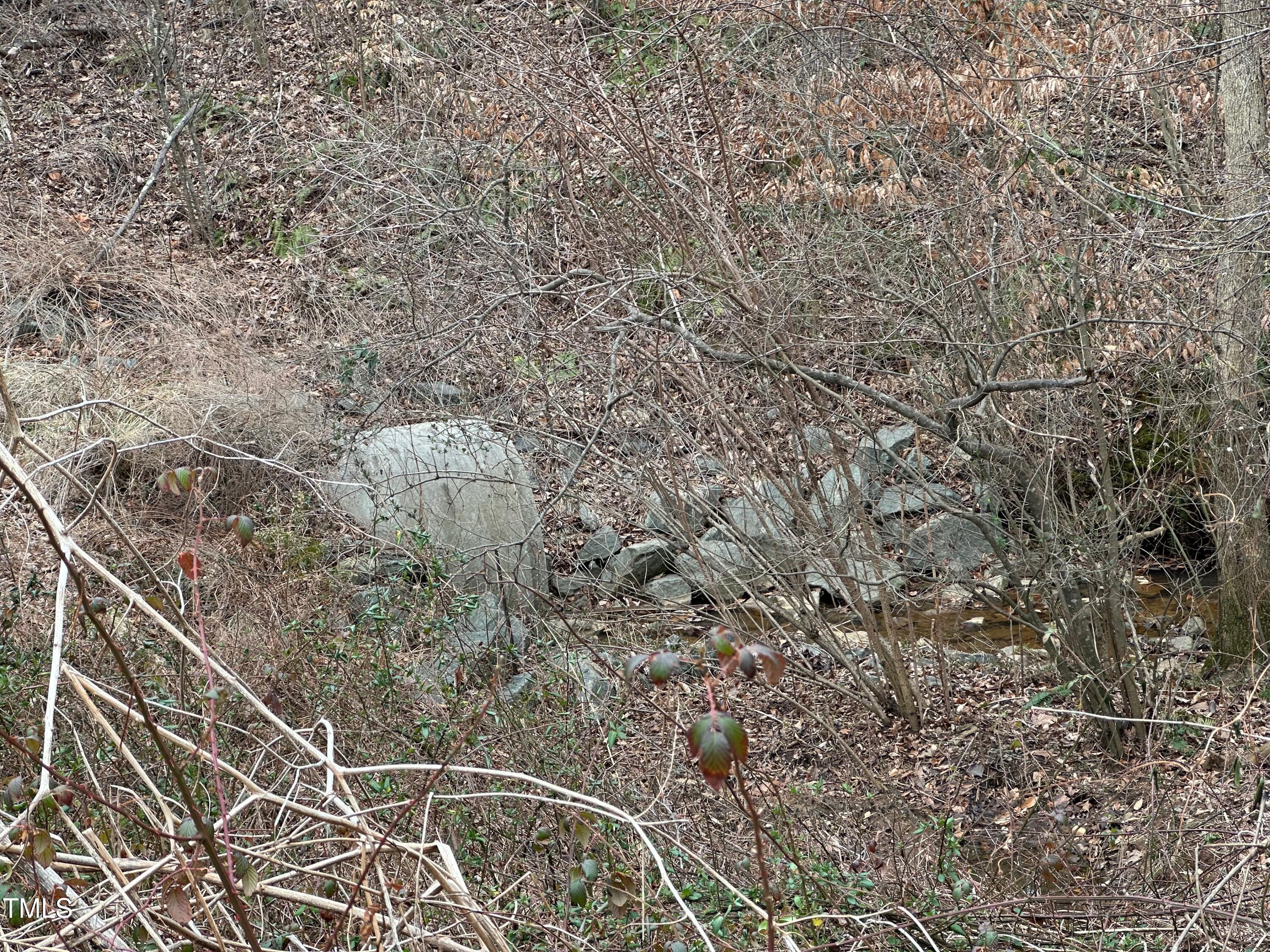 0 Crooked Run Road Property Photo 5