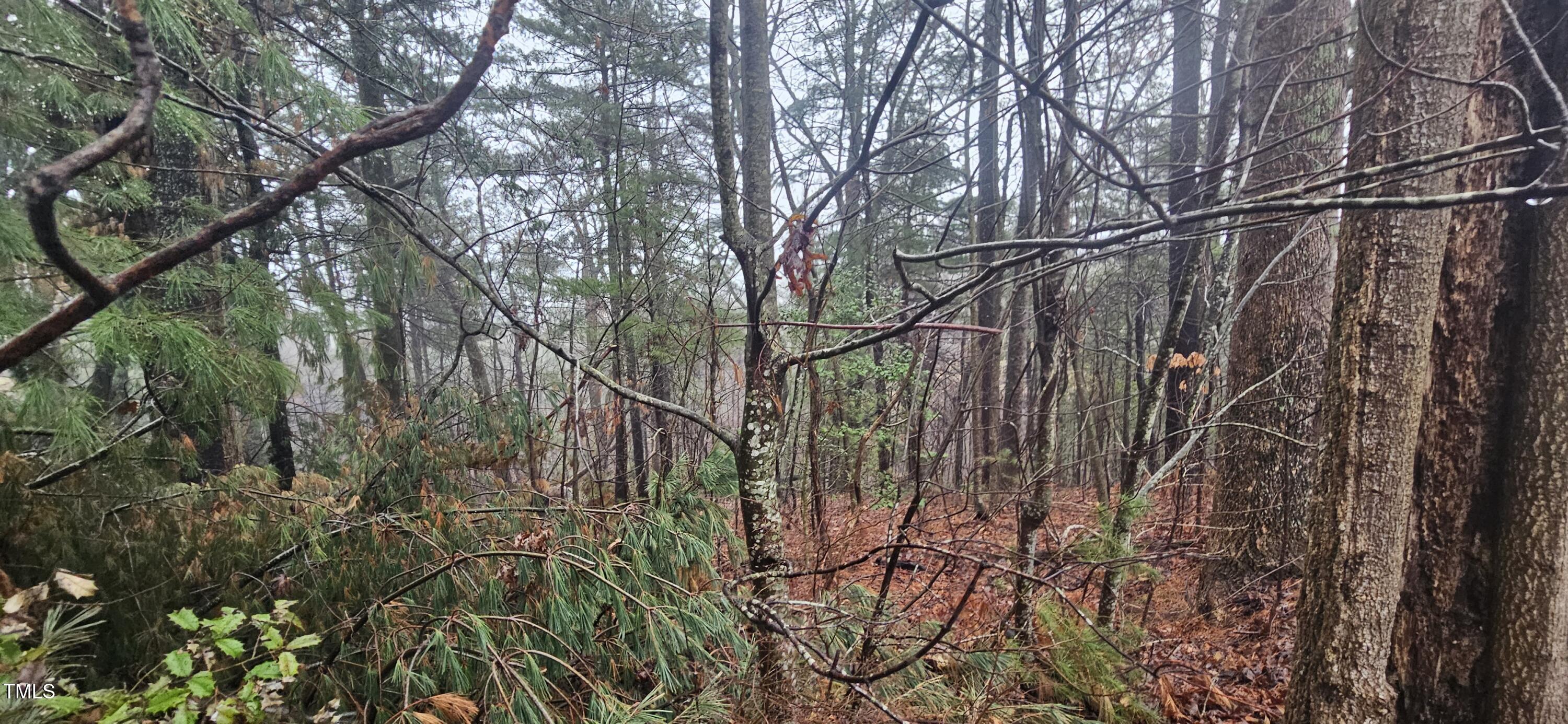 0 Continental Divide Drive Property Photo 6