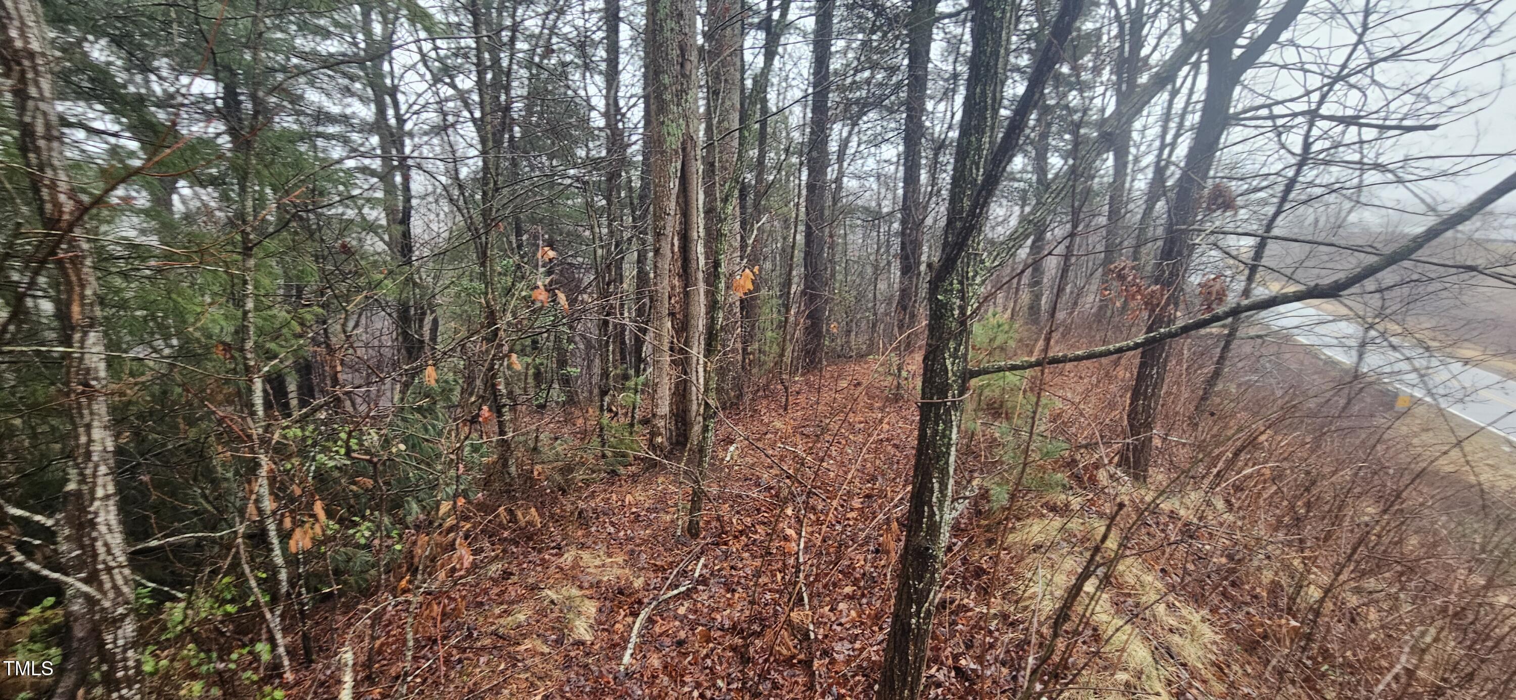 0 Continental Divide Drive Property Photo 9