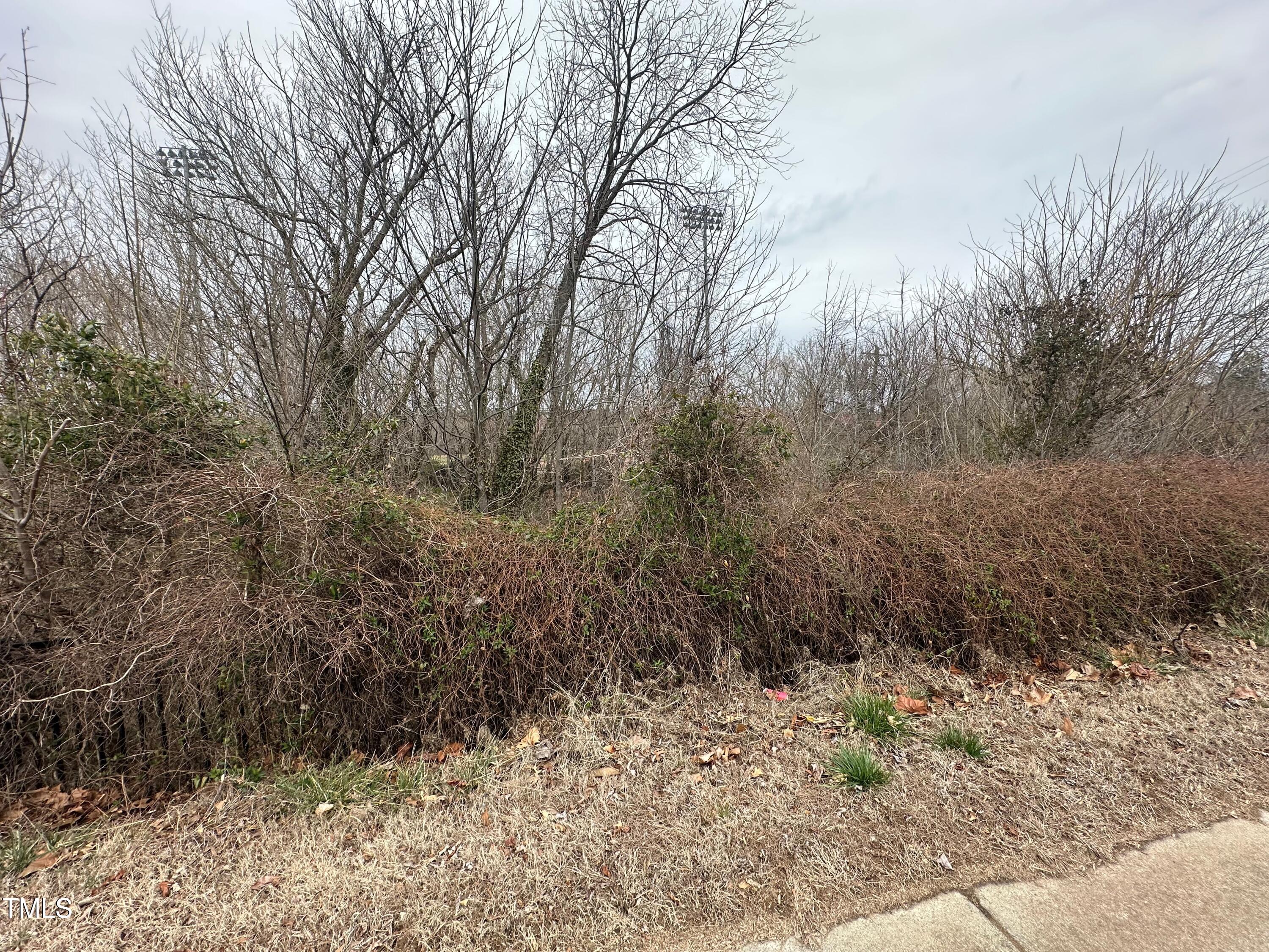 0 Bruce Street Property Photo 4