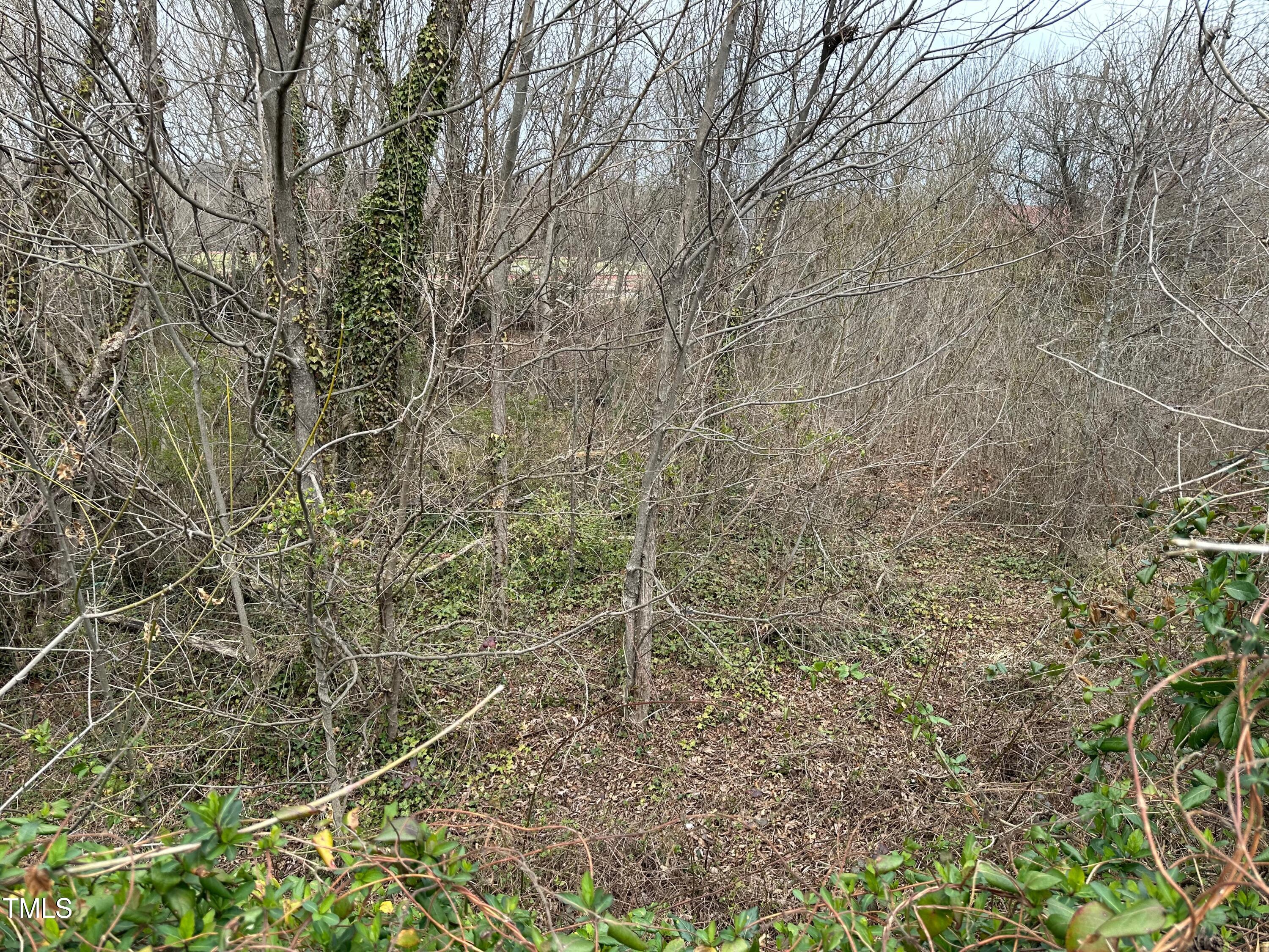 0 Bruce Street Property Photo 5