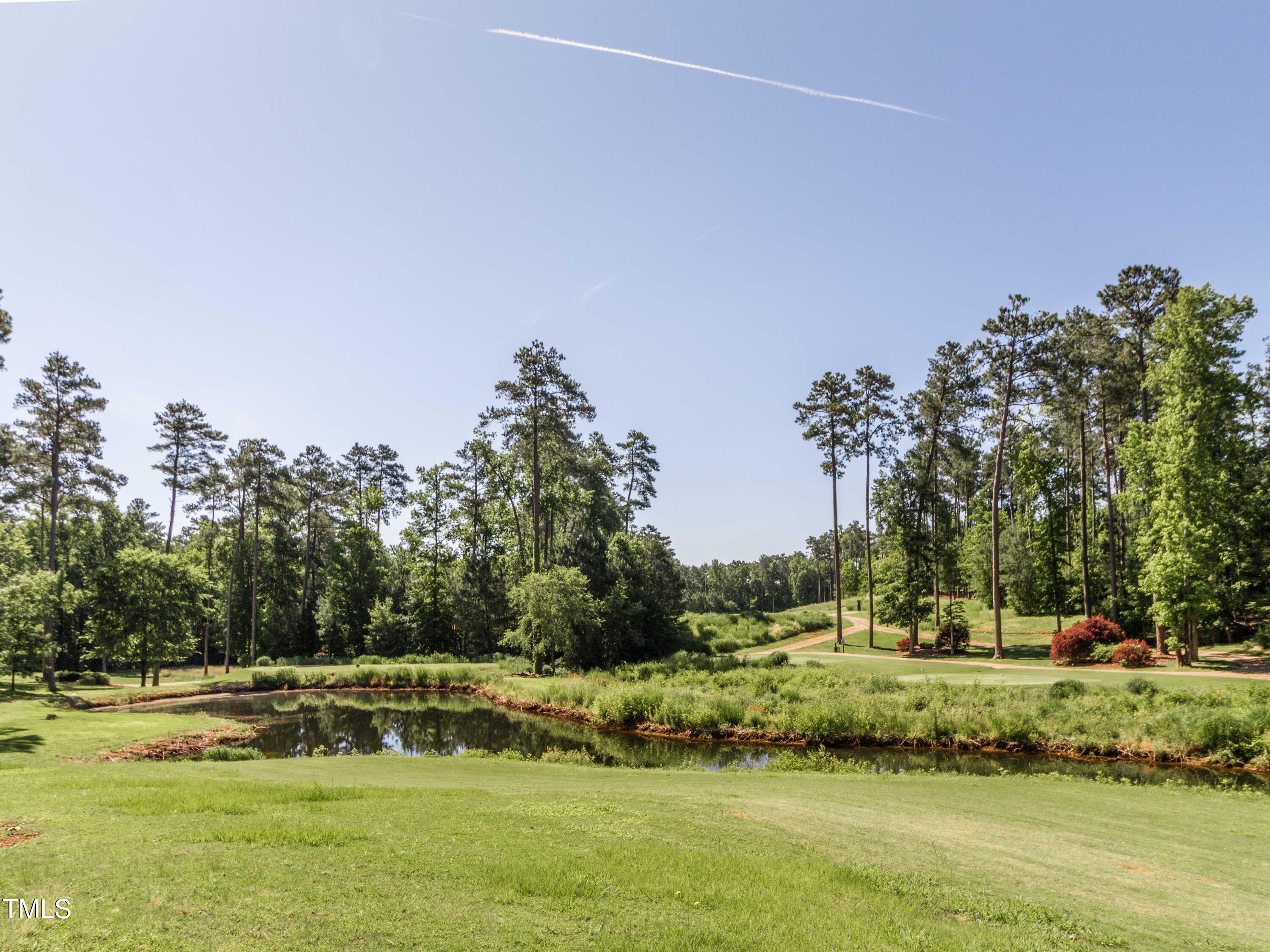 72 Brown Bear Property Photo 13