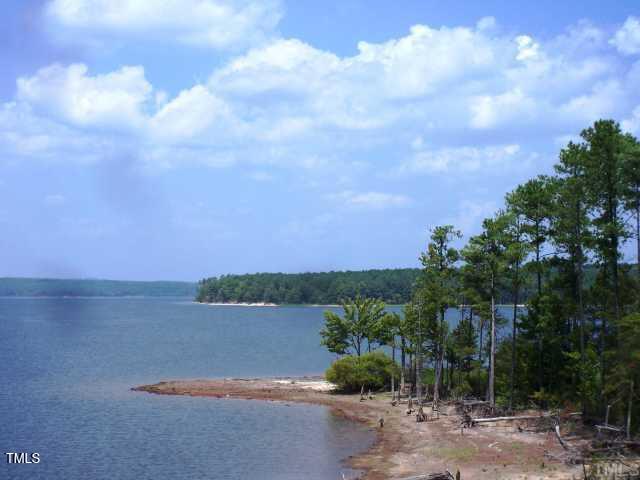 72 Brown Bear Property Photo 14