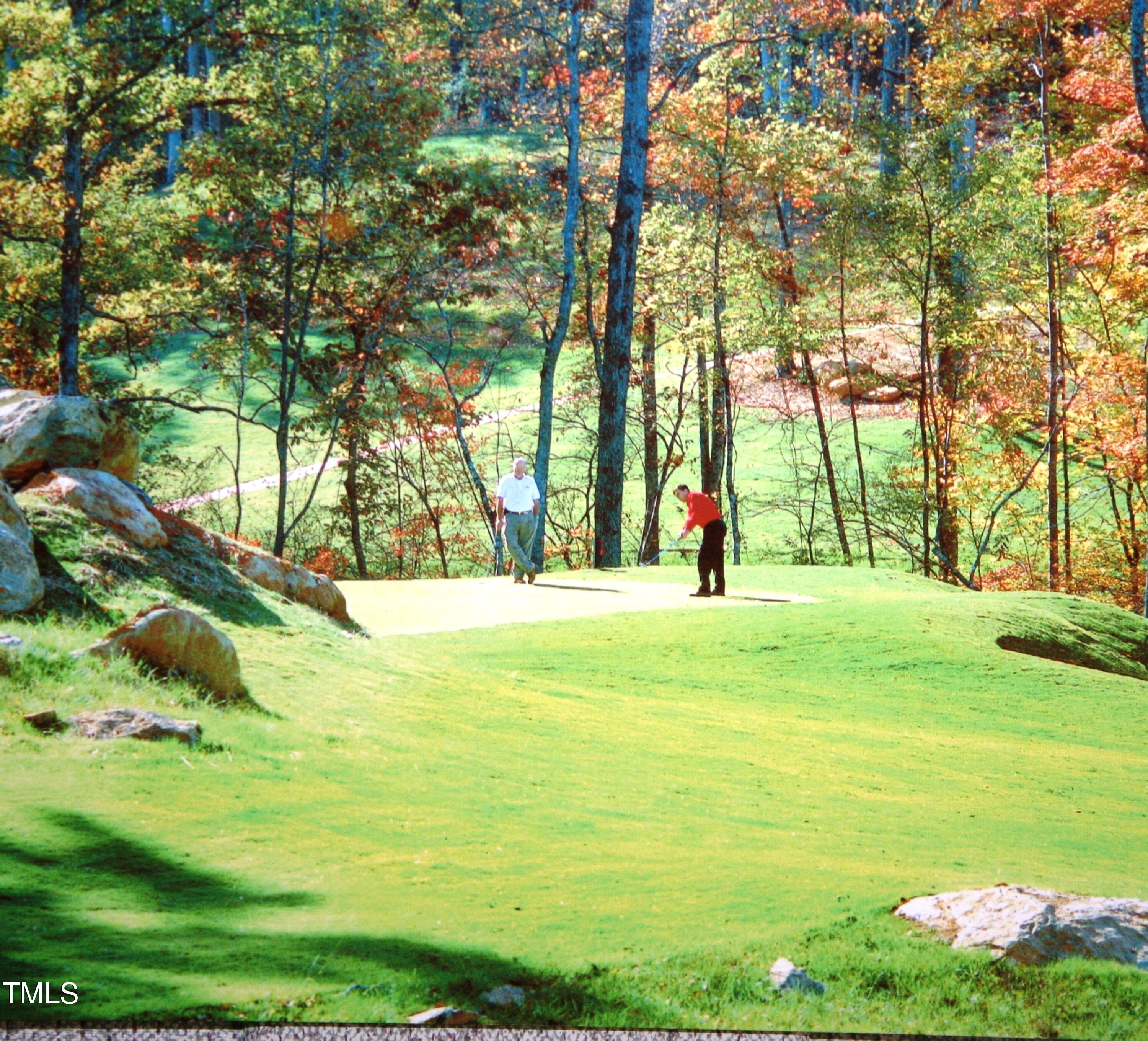 72 Brown Bear Property Photo 19