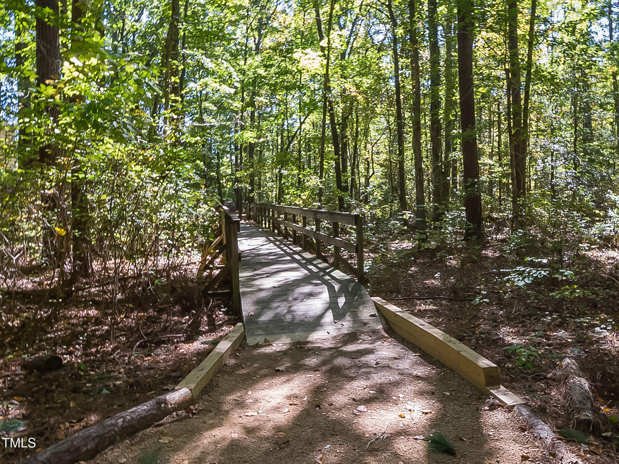 72 Brown Bear Property Photo 21